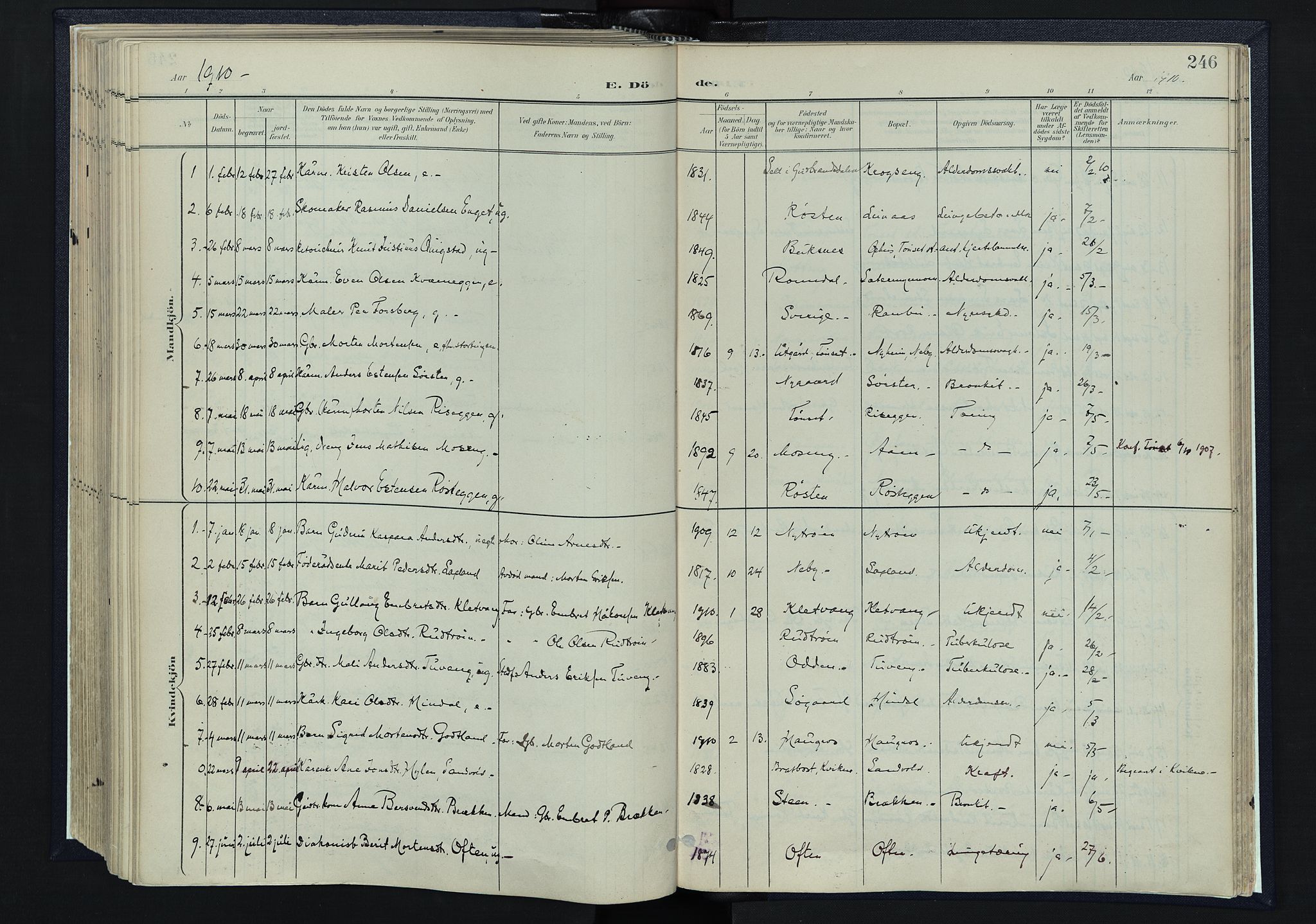 Tynset prestekontor, SAH/PREST-058/H/Ha/Haa/L0025: Ministerialbok nr. 25, 1900-1914, s. 246