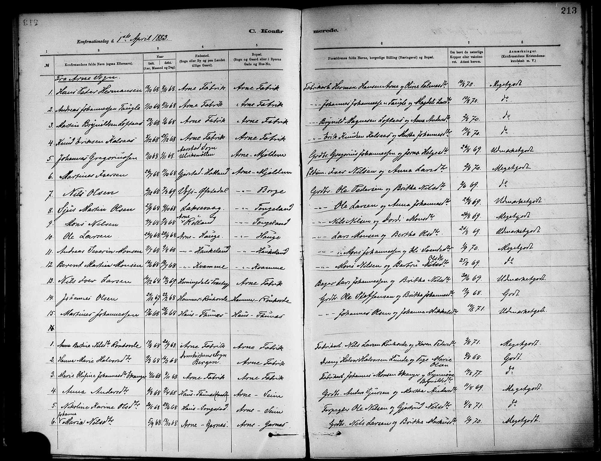 Haus sokneprestembete, AV/SAB-A-75601/H/Haa: Ministerialbok nr. A 19I, 1878-1886, s. 213