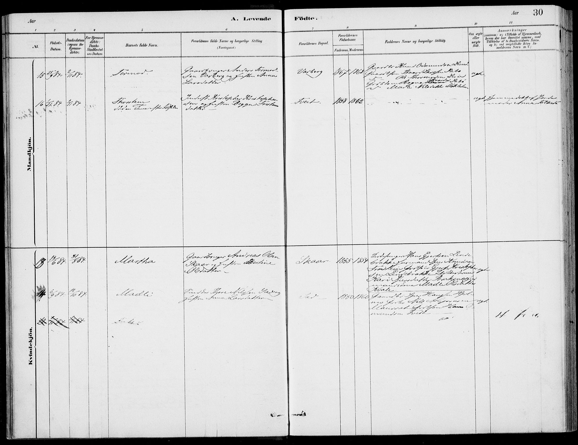 Ulvik sokneprestembete, AV/SAB-A-78801/H/Haa: Ministerialbok nr. D  1, 1878-1903, s. 30