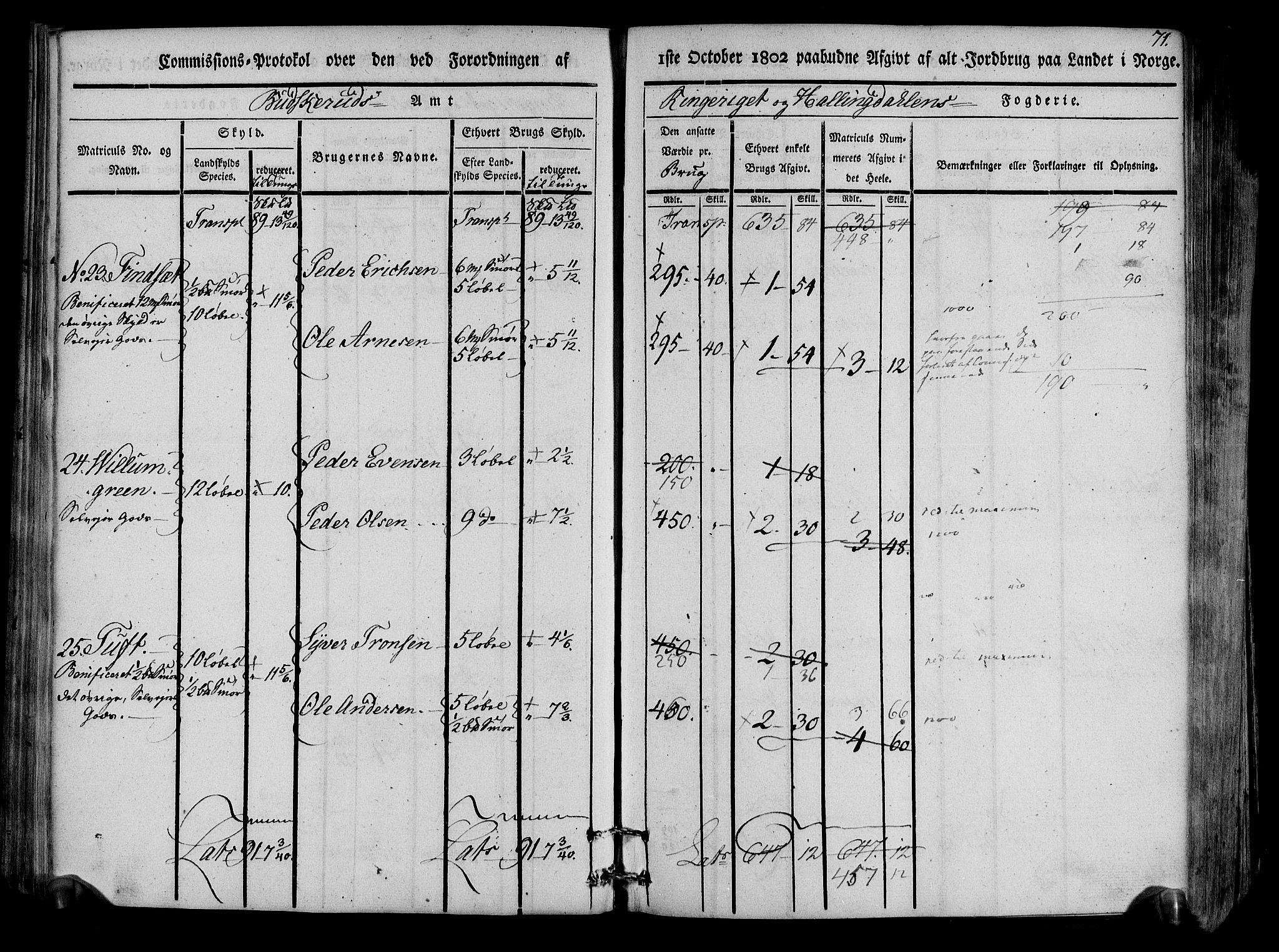 Rentekammeret inntil 1814, Realistisk ordnet avdeling, AV/RA-EA-4070/N/Ne/Nea/L0047: Ringerike og Hallingdal fogderi. Kommisjonsprotokoll for Nes prestegjeld, 1803, s. 74