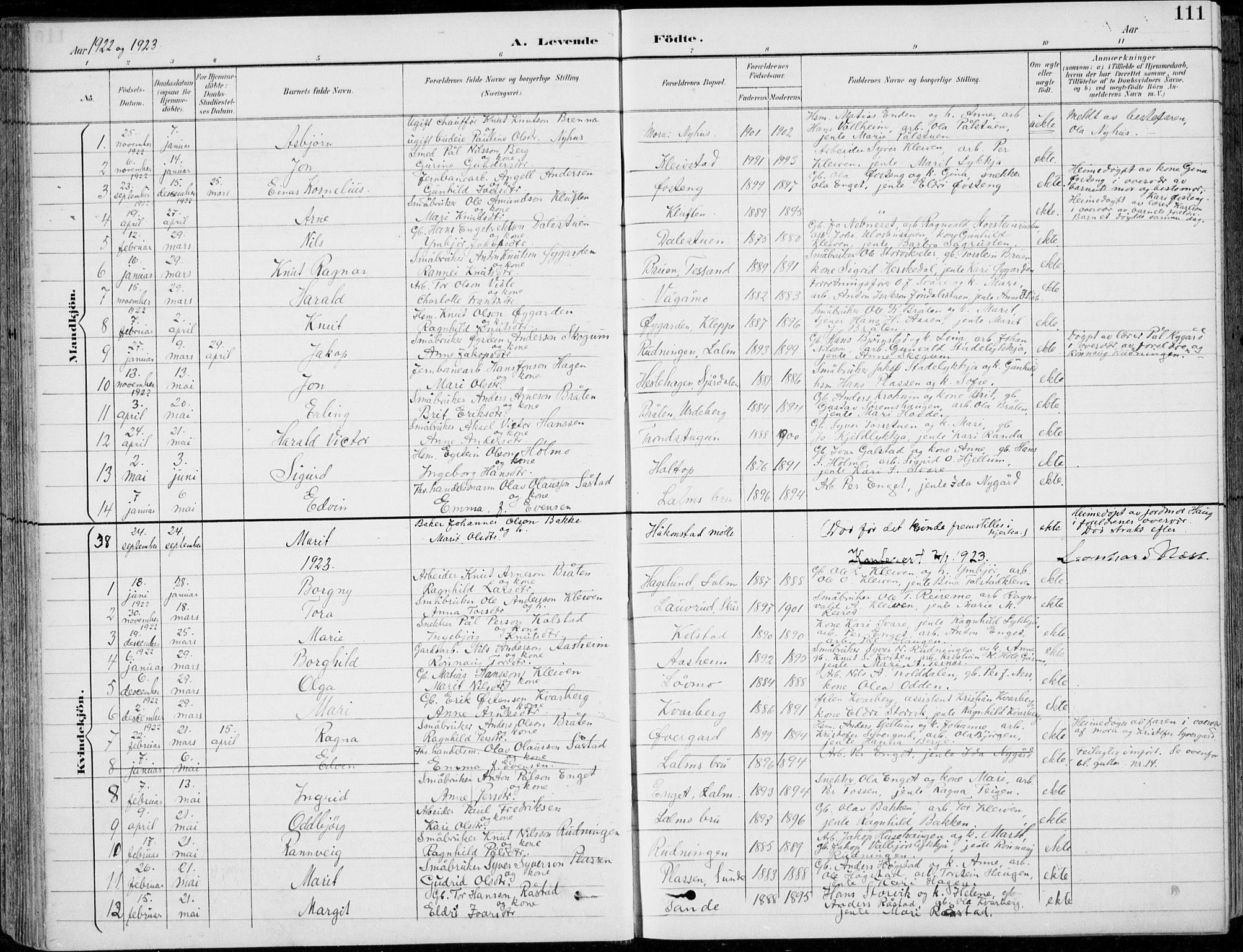 Vågå prestekontor, AV/SAH-PREST-076/H/Ha/Hab/L0002: Klokkerbok nr. 2, 1894-1939, s. 111