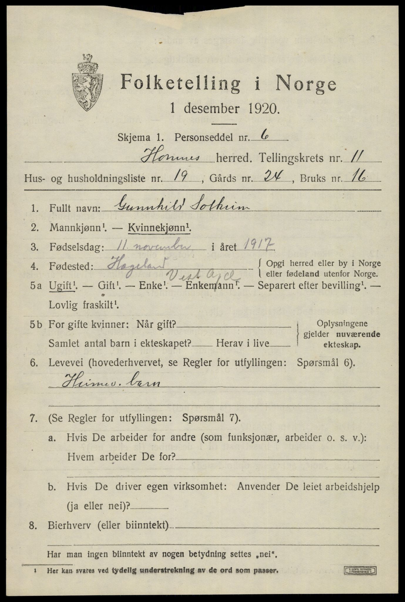 SAK, Folketelling 1920 for 0936 Hornnes herred, 1920, s. 2873