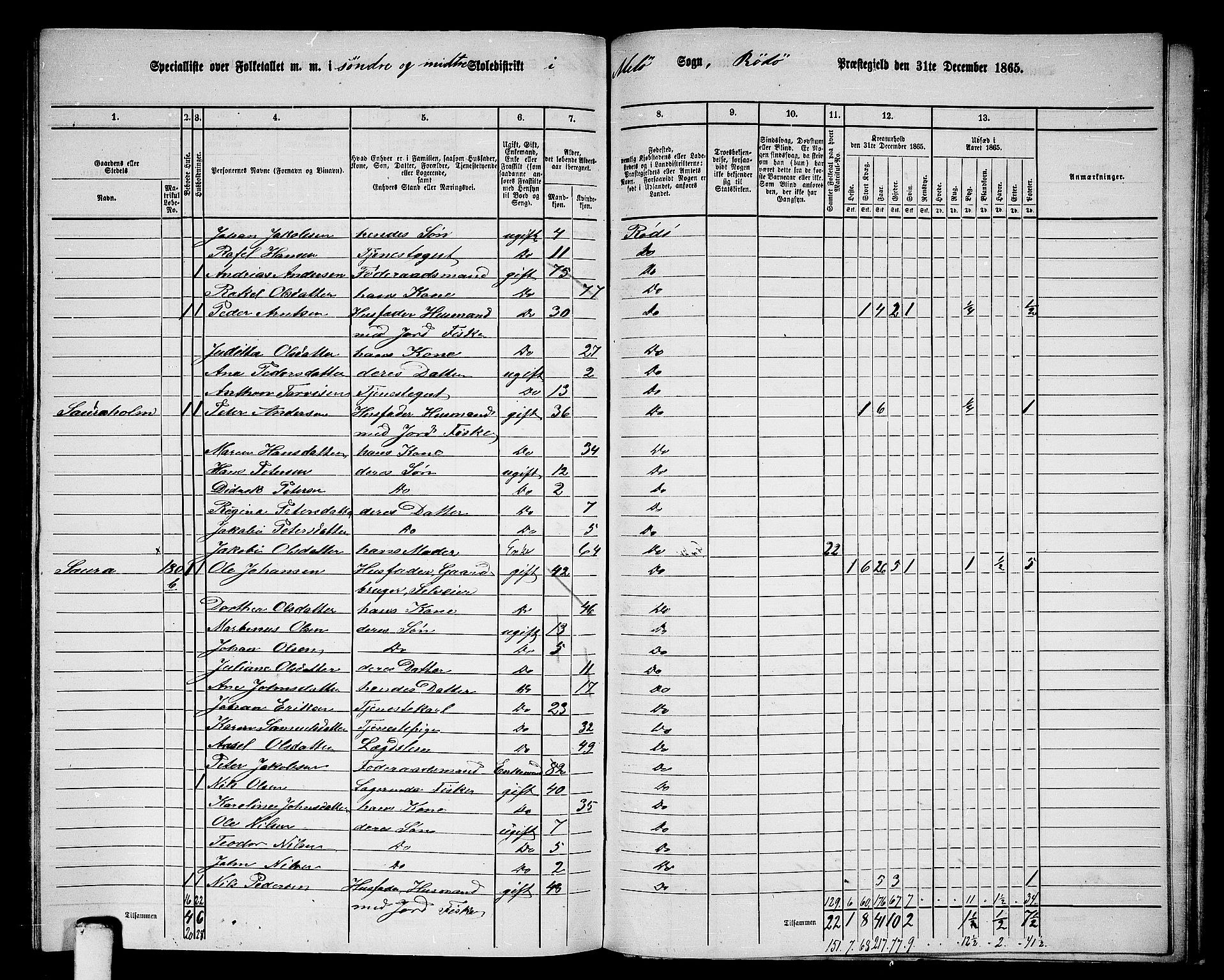RA, Folketelling 1865 for 1836P Rødøy prestegjeld, 1865, s. 124