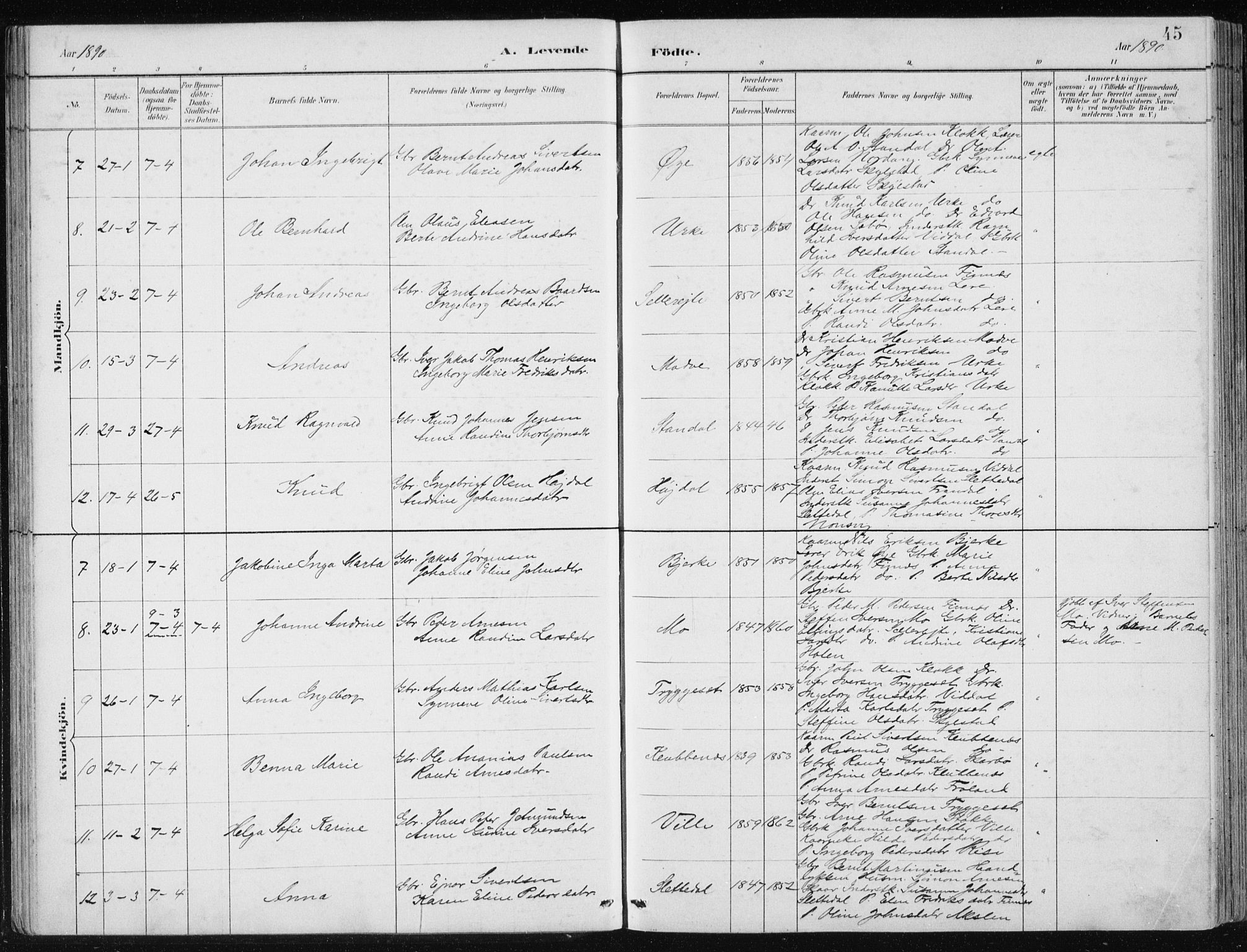 Ministerialprotokoller, klokkerbøker og fødselsregistre - Møre og Romsdal, AV/SAT-A-1454/515/L0215: Klokkerbok nr. 515C02, 1884-1906, s. 45