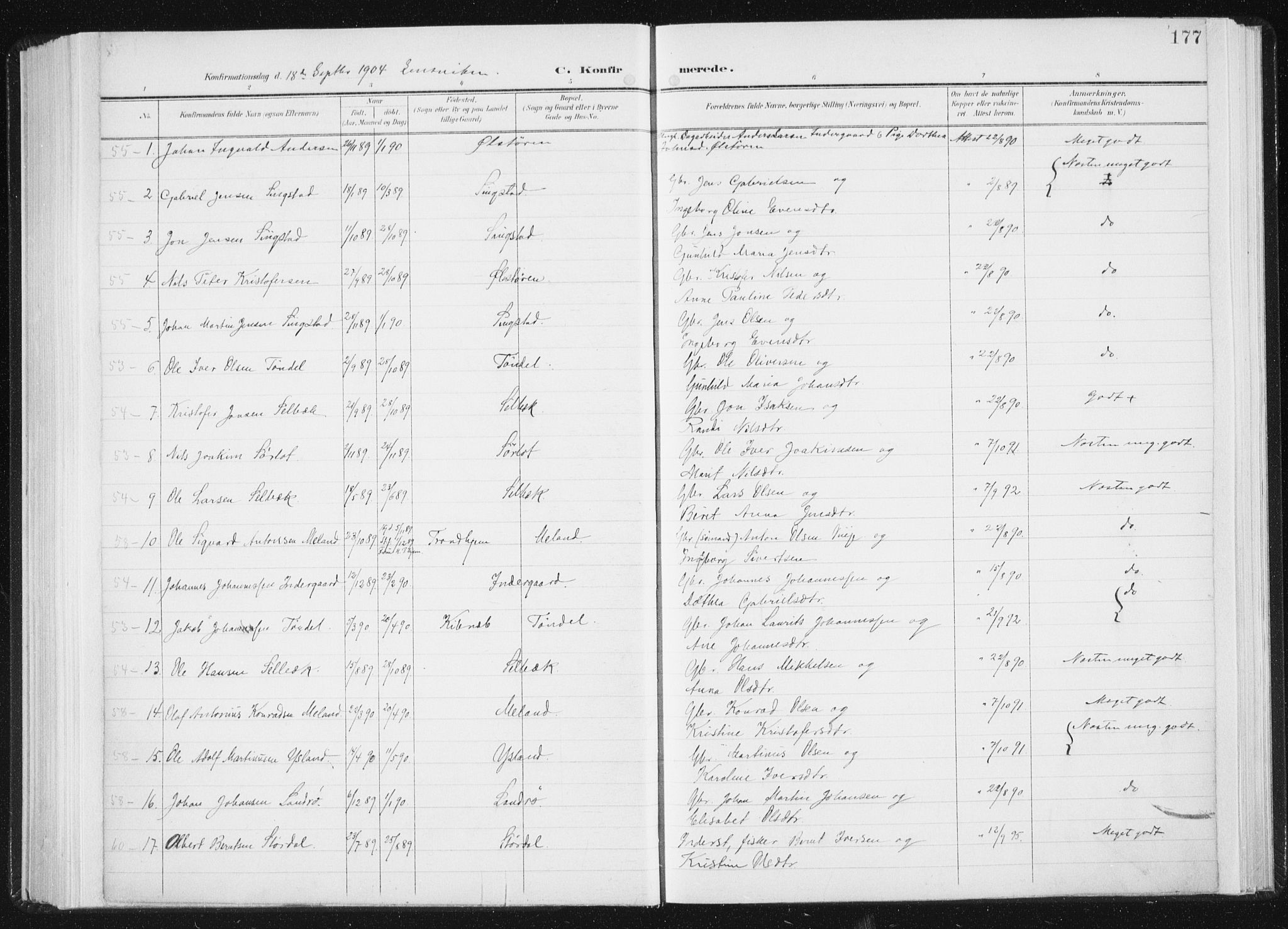 Ministerialprotokoller, klokkerbøker og fødselsregistre - Sør-Trøndelag, AV/SAT-A-1456/647/L0635: Ministerialbok nr. 647A02, 1896-1911, s. 177