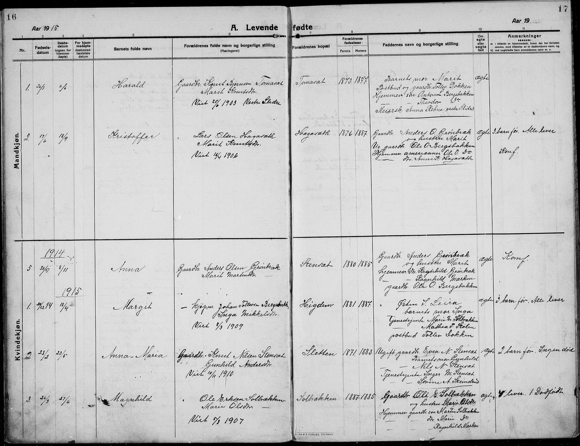 Etnedal prestekontor, AV/SAH-PREST-130/H/Ha/Hab/Habb/L0002: Klokkerbok nr. II 2, 1912-1934, s. 16-17