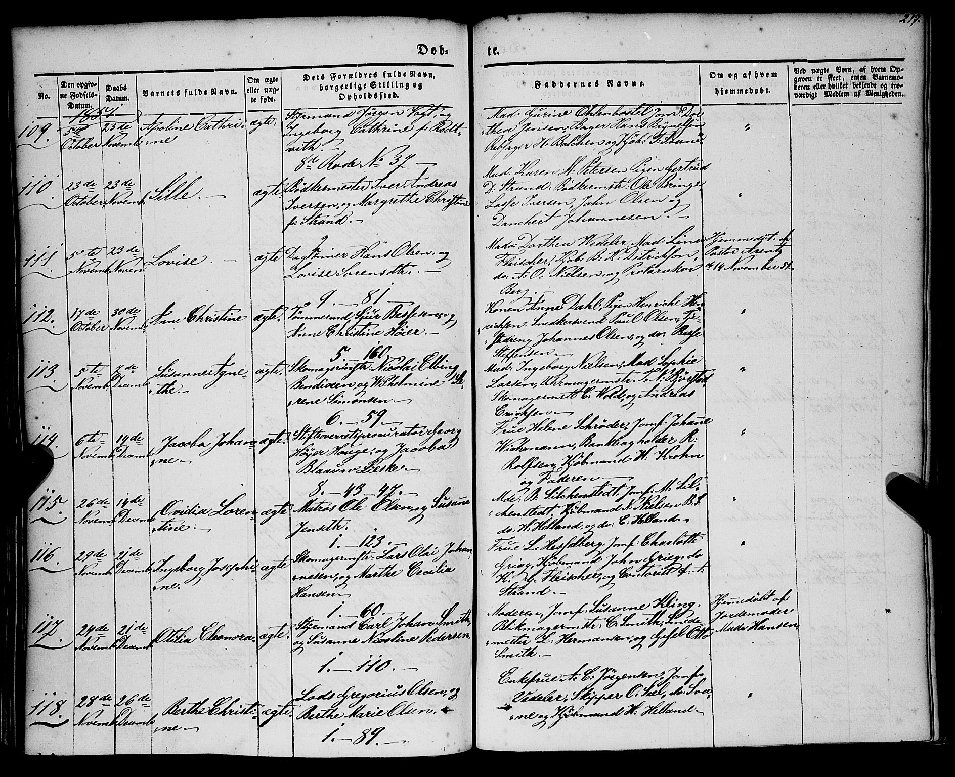 Nykirken Sokneprestembete, AV/SAB-A-77101/H/Haa/L0014: Ministerialbok nr. B 1, 1844-1858, s. 217
