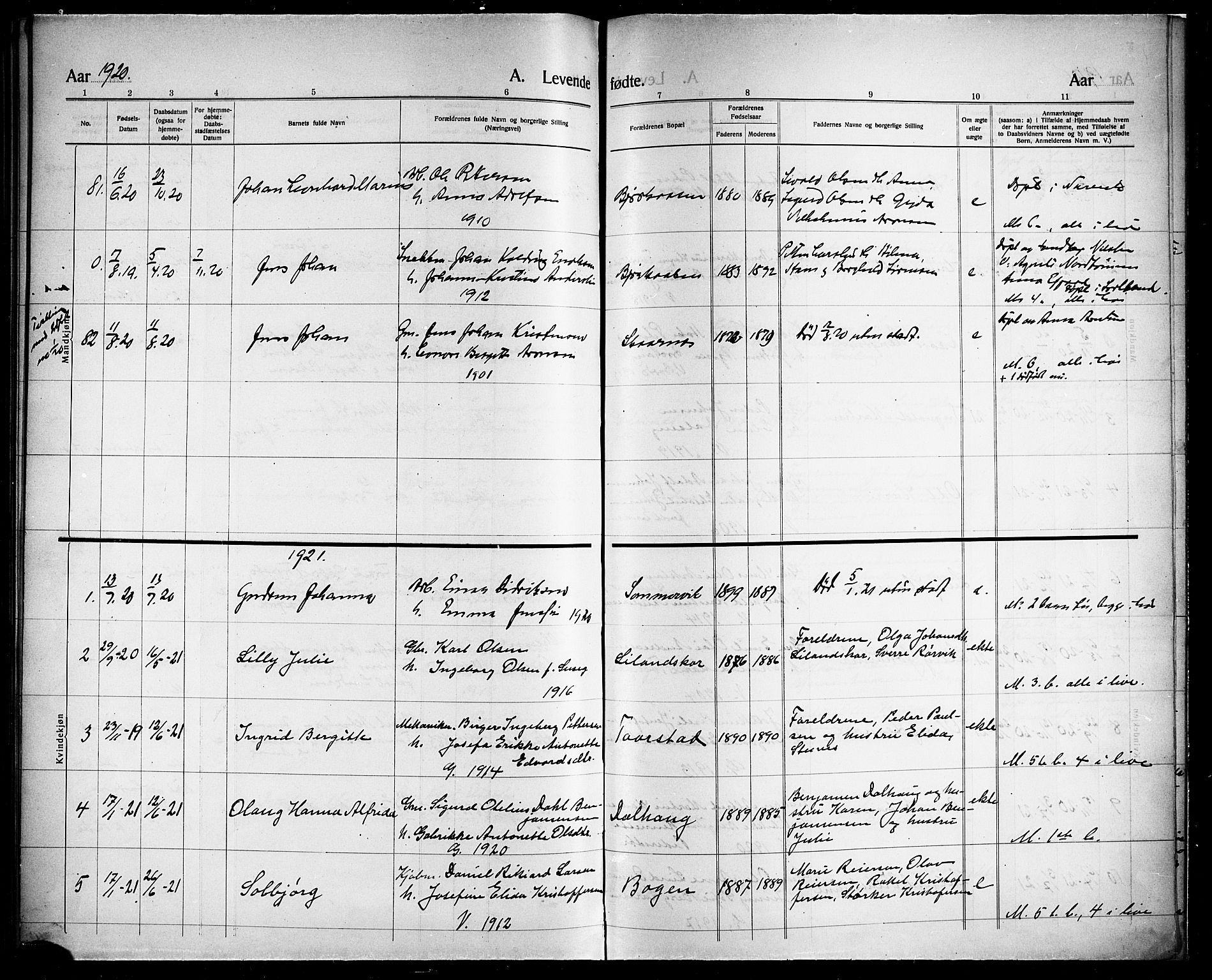 Ministerialprotokoller, klokkerbøker og fødselsregistre - Nordland, AV/SAT-A-1459/863/L0916: Klokkerbok nr. 863C06, 1907-1921