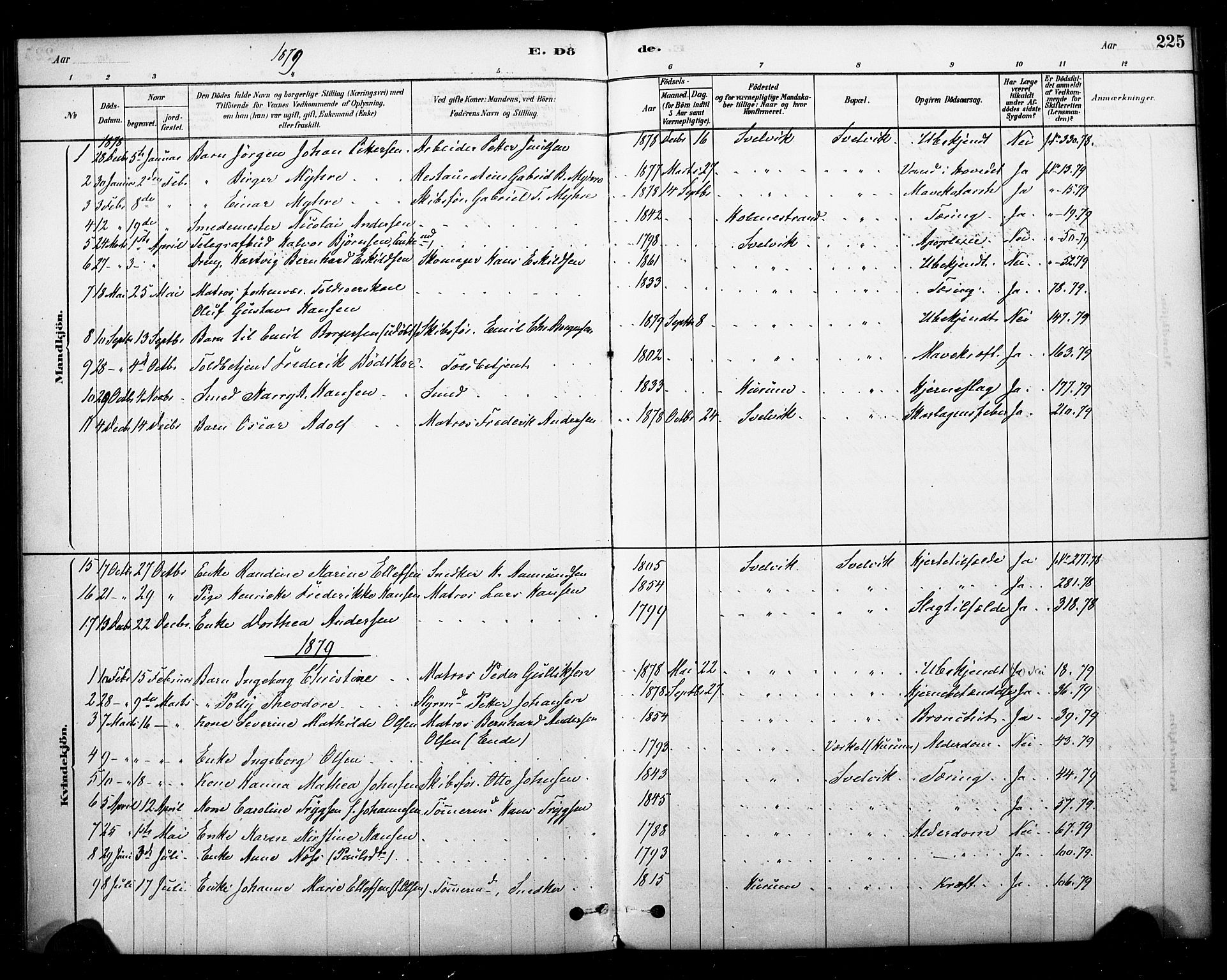 Strømm kirkebøker, AV/SAKO-A-322/F/Fb/L0001: Ministerialbok nr. II 1, 1878-1899, s. 225