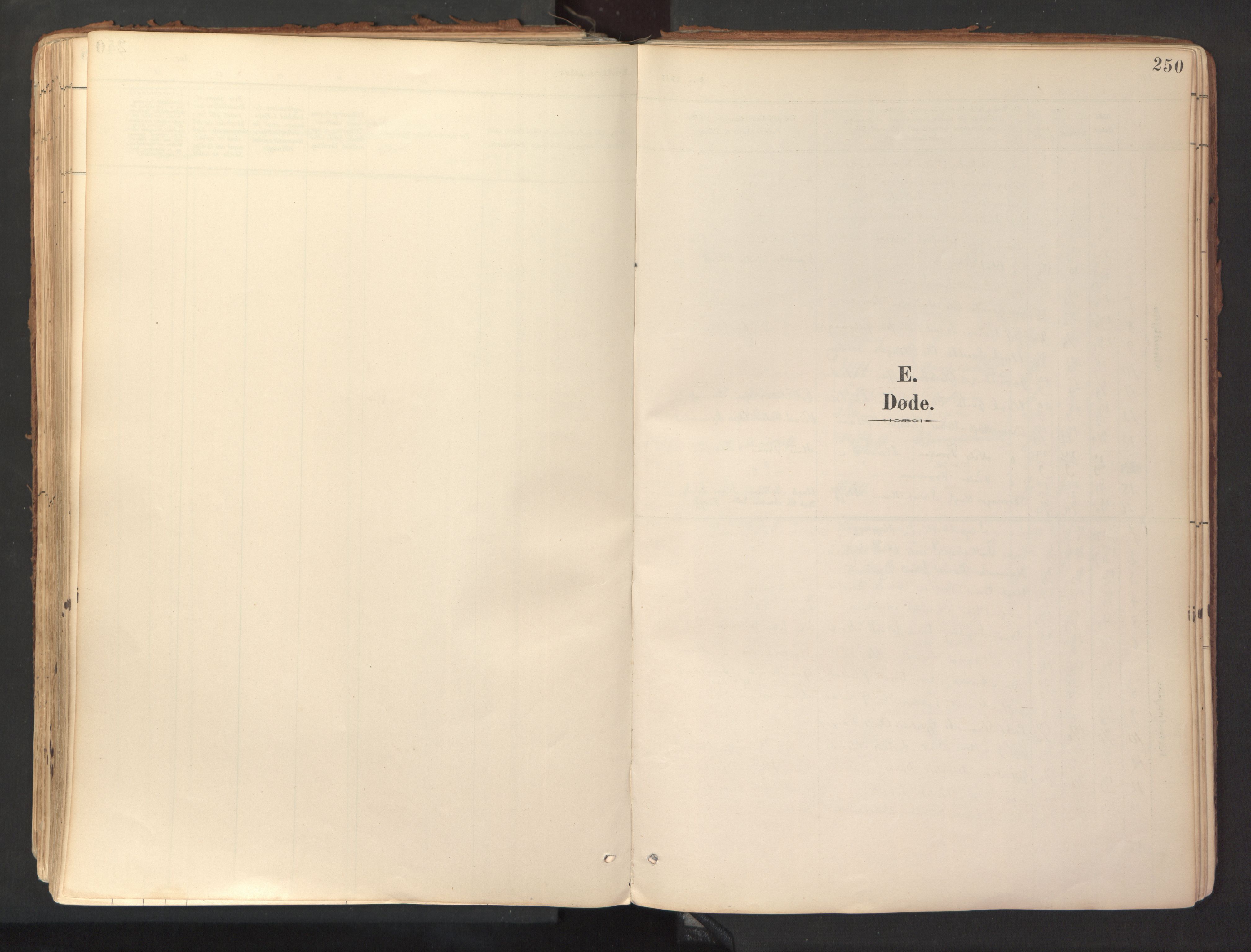 Ministerialprotokoller, klokkerbøker og fødselsregistre - Sør-Trøndelag, AV/SAT-A-1456/689/L1041: Ministerialbok nr. 689A06, 1891-1923, s. 250