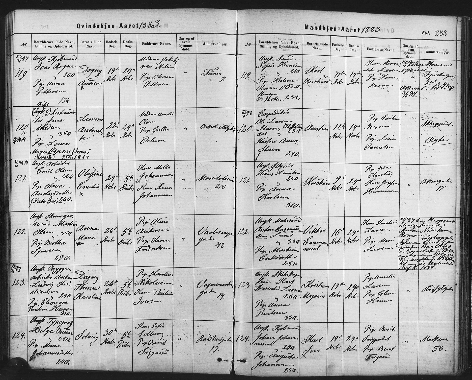Rikshospitalet prestekontor Kirkebøker, SAO/A-10309b/F/L0006: Ministerialbok nr. 6, 1871-1885, s. 263