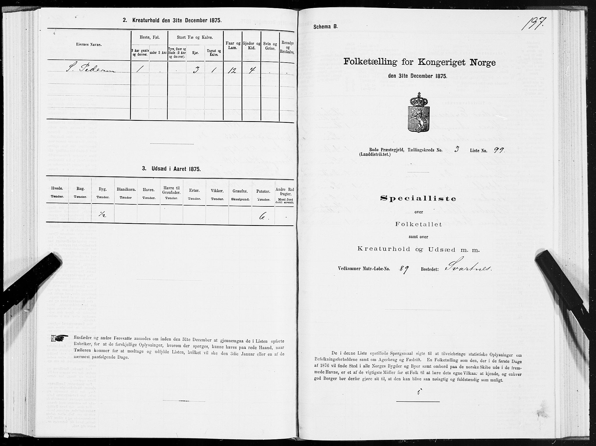 SAT, Folketelling 1875 for 1843L Bodø prestegjeld, Bodø landsokn, 1875, s. 2197