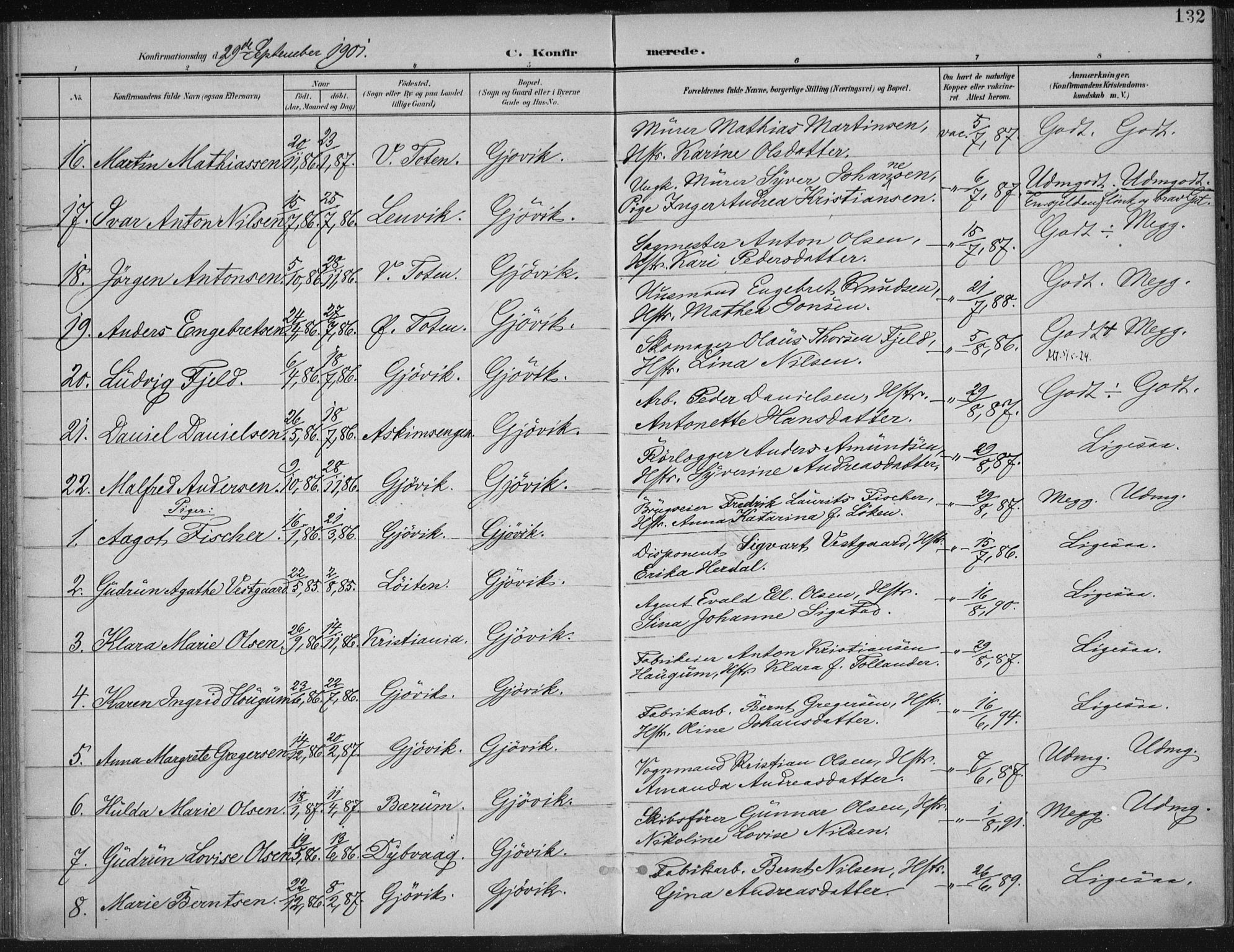 Vardal prestekontor, AV/SAH-PREST-100/H/Ha/Haa/L0013: Ministerialbok nr. 13, 1901-1911, s. 132