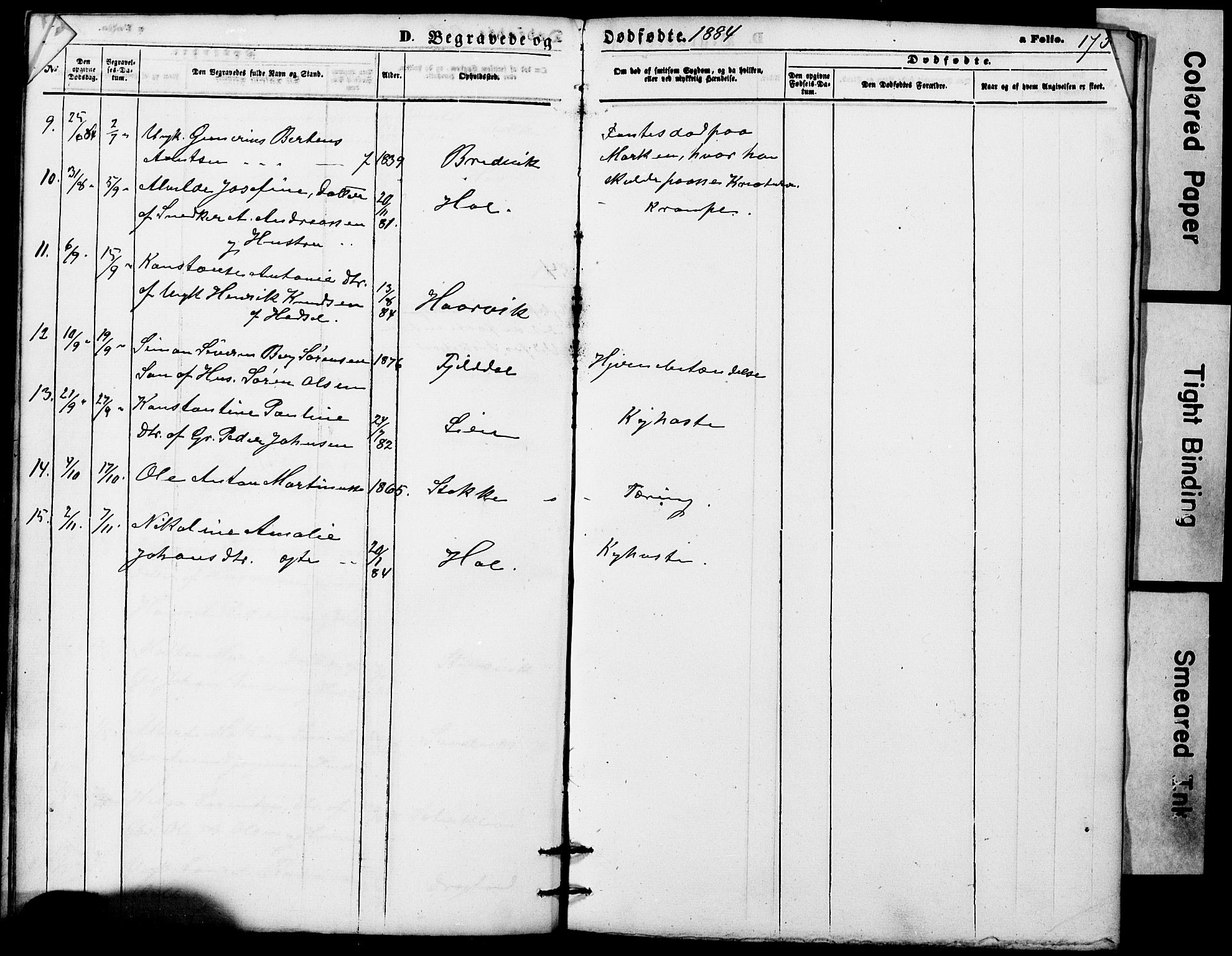 Ministerialprotokoller, klokkerbøker og fødselsregistre - Nordland, SAT/A-1459/865/L0930: Klokkerbok nr. 865C02, 1866-1884, s. 175