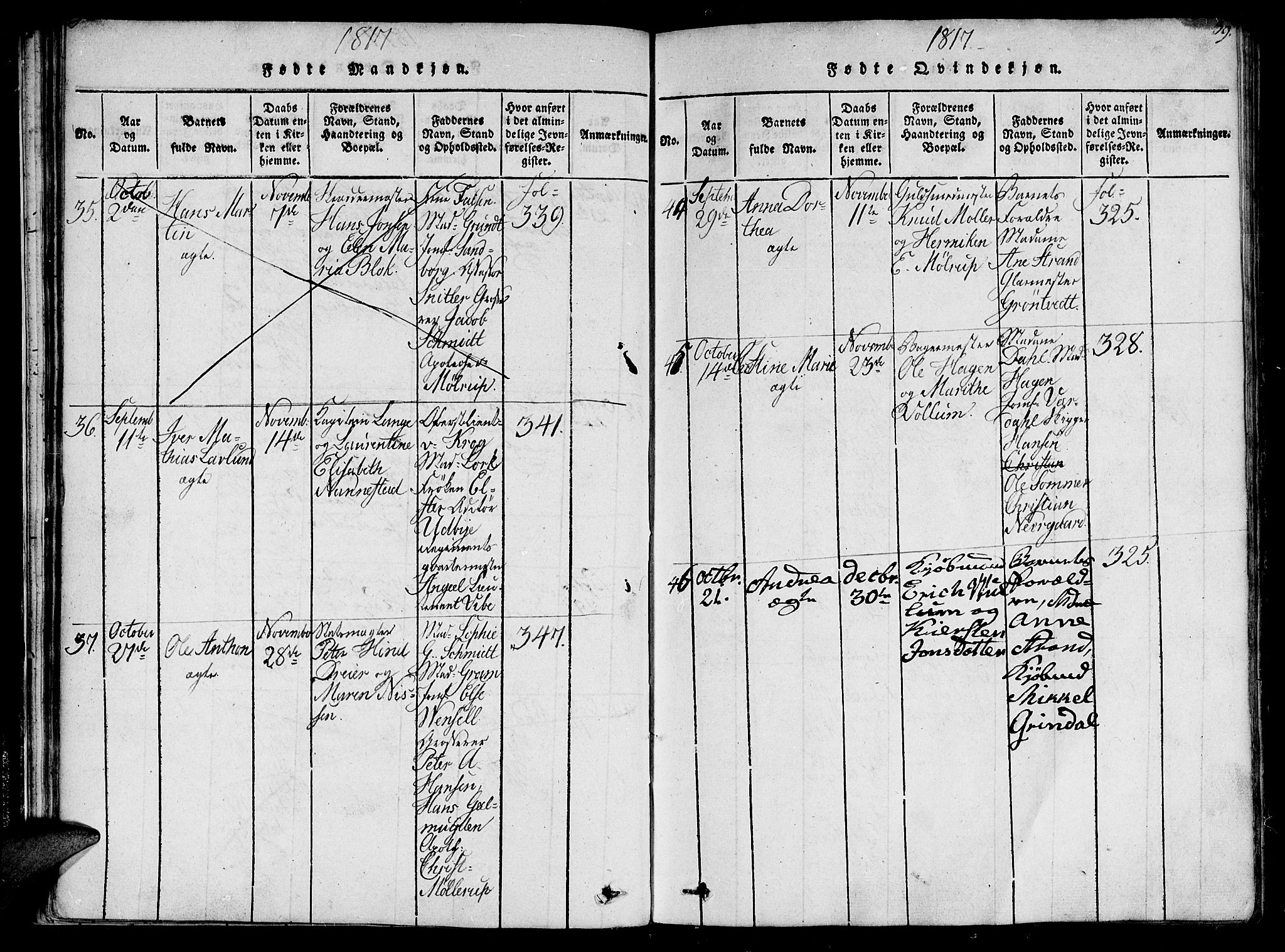 Ministerialprotokoller, klokkerbøker og fødselsregistre - Sør-Trøndelag, AV/SAT-A-1456/602/L0107: Ministerialbok nr. 602A05, 1815-1821, s. 39