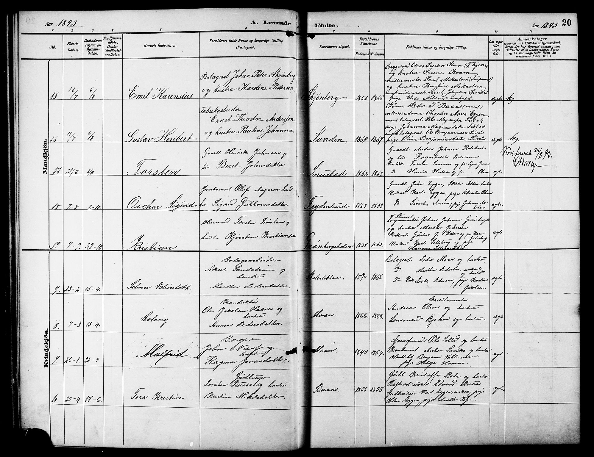 Ministerialprotokoller, klokkerbøker og fødselsregistre - Sør-Trøndelag, SAT/A-1456/617/L0431: Klokkerbok nr. 617C01, 1889-1910, s. 20