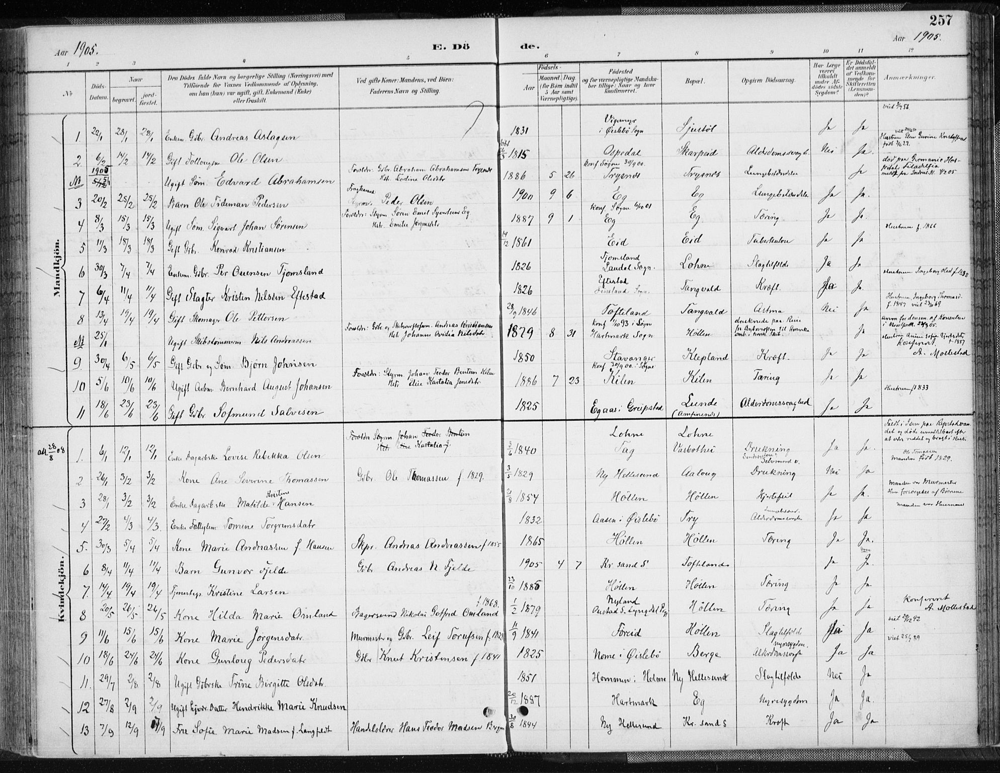 Søgne sokneprestkontor, SAK/1111-0037/F/Fa/Fab/L0013: Ministerialbok nr. A 13, 1892-1911, s. 257