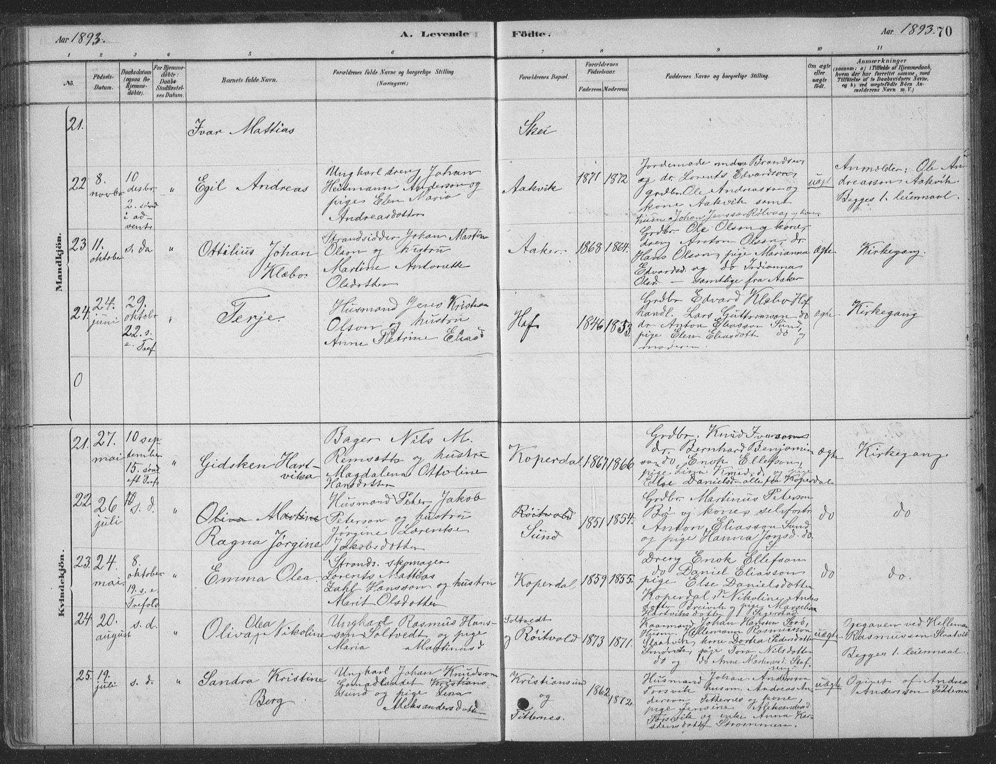 Ministerialprotokoller, klokkerbøker og fødselsregistre - Nordland, AV/SAT-A-1459/835/L0532: Klokkerbok nr. 835C04, 1880-1905, s. 70