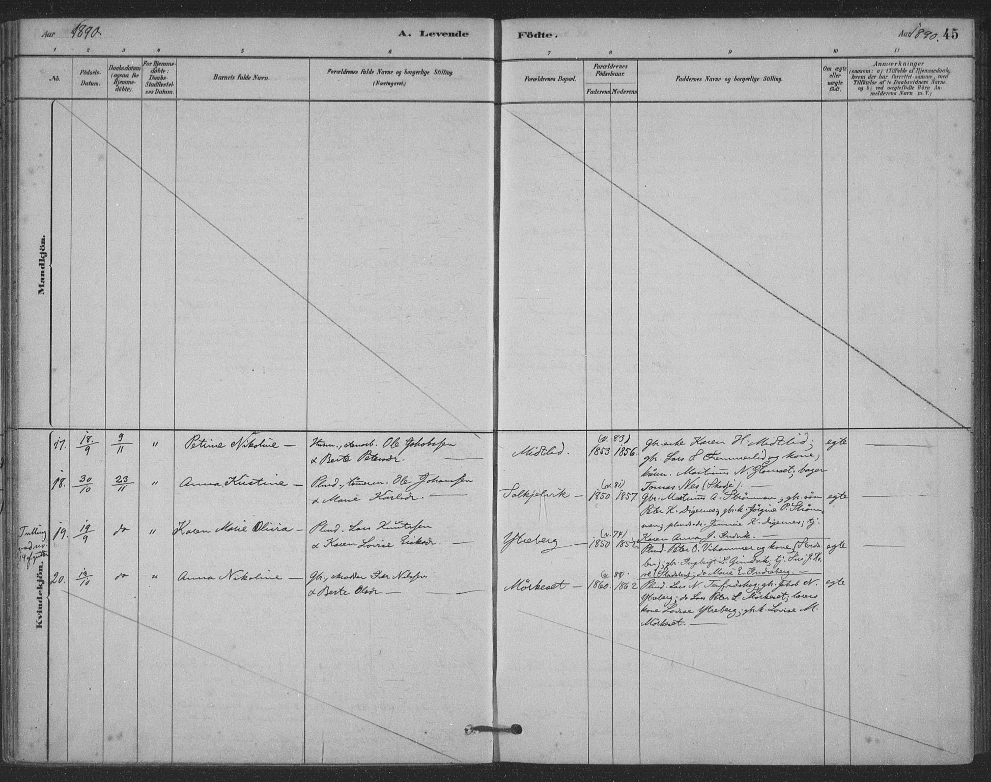 Ministerialprotokoller, klokkerbøker og fødselsregistre - Møre og Romsdal, AV/SAT-A-1454/524/L0356: Ministerialbok nr. 524A08, 1880-1899, s. 45