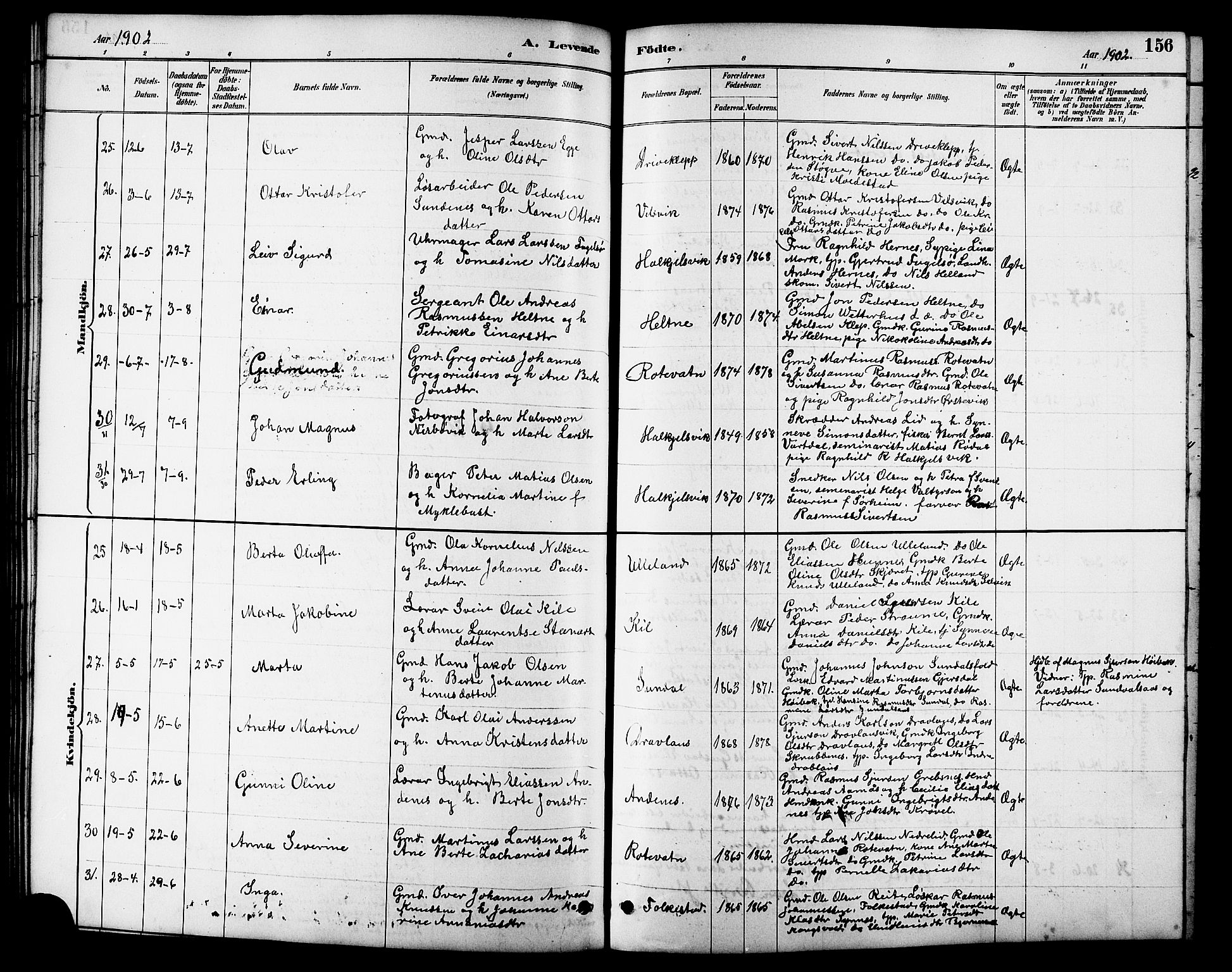 Ministerialprotokoller, klokkerbøker og fødselsregistre - Møre og Romsdal, AV/SAT-A-1454/511/L0158: Klokkerbok nr. 511C04, 1884-1903, s. 156