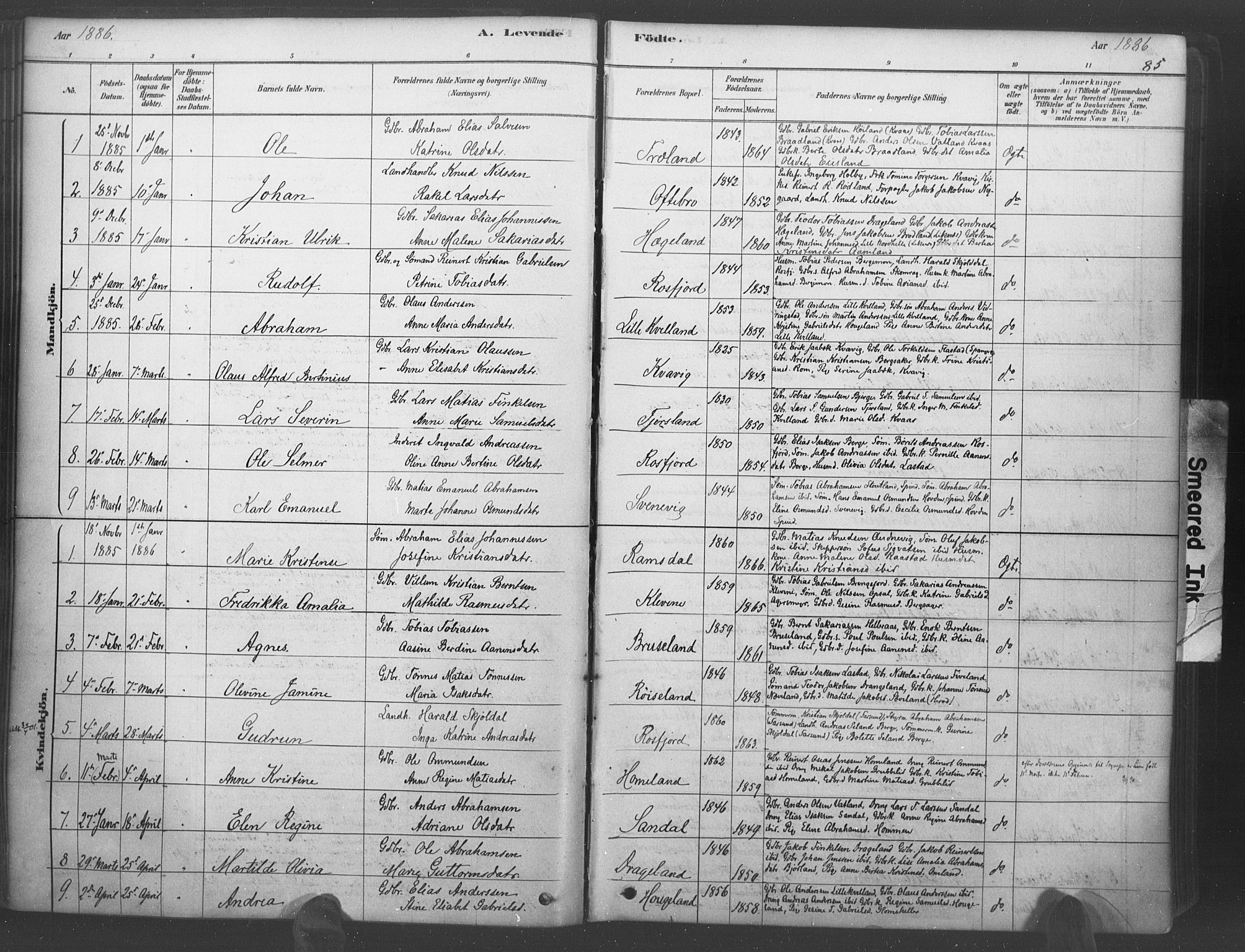 Lyngdal sokneprestkontor, AV/SAK-1111-0029/F/Fa/Fac/L0011: Ministerialbok nr. A 11, 1878-1893, s. 85