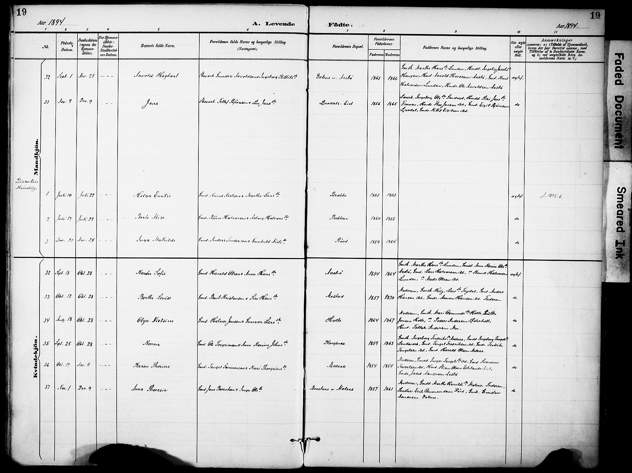 Gjerstad sokneprestkontor, AV/SAK-1111-0014/F/Fa/Faa/L0010: Ministerialbok nr. A 10, 1891-1902, s. 19