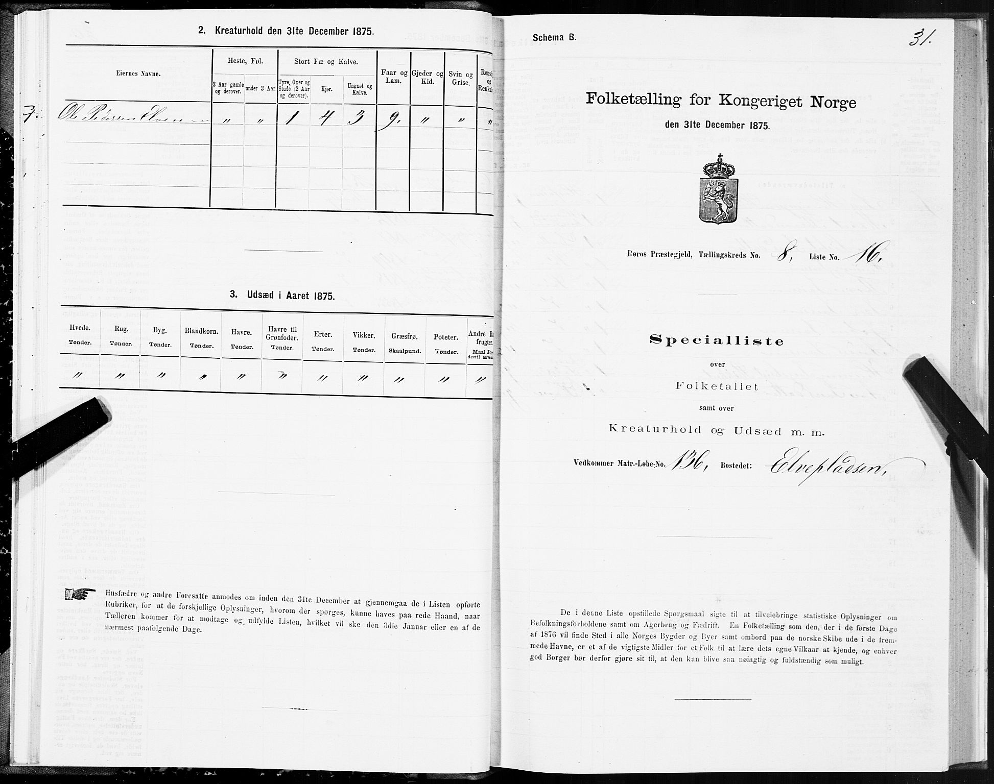 SAT, Folketelling 1875 for 1640P Røros prestegjeld, 1875, s. 5031