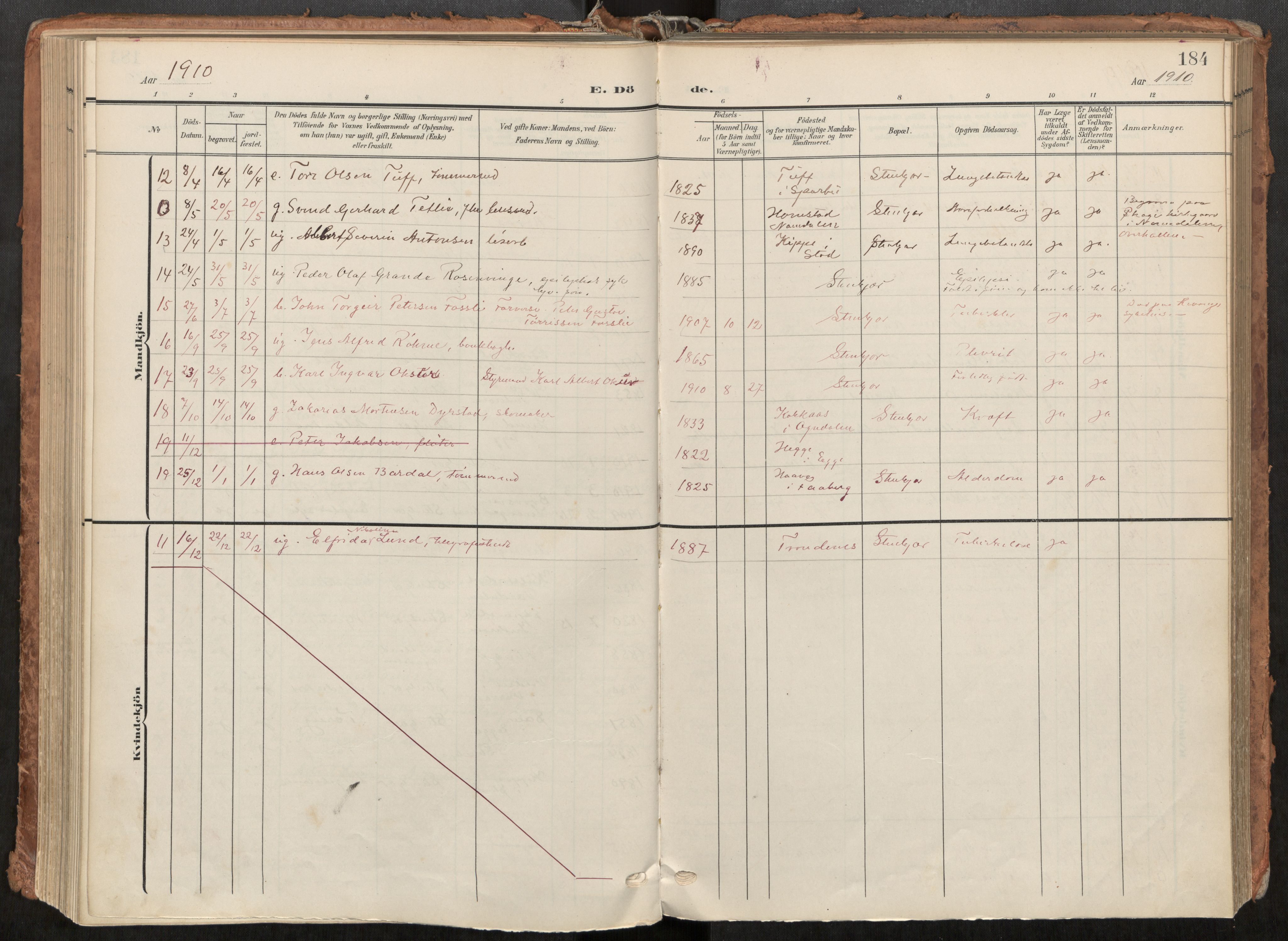 Steinkjer sokneprestkontor, AV/SAT-A-1541/01/H/Ha/Haa/L0001: Ministerialbok nr. 1, 1904-1912, s. 184