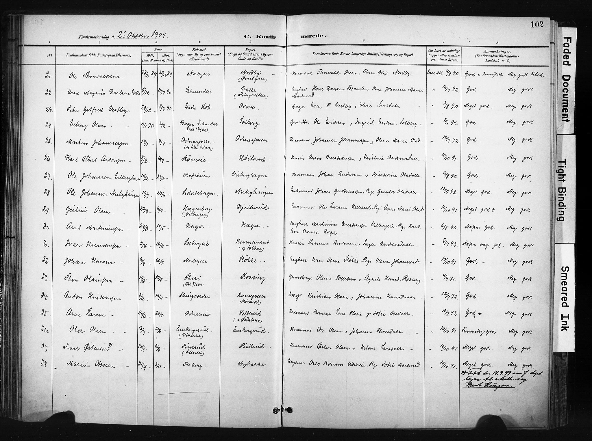 Søndre Land prestekontor, AV/SAH-PREST-122/K/L0004: Ministerialbok nr. 4, 1895-1904, s. 102