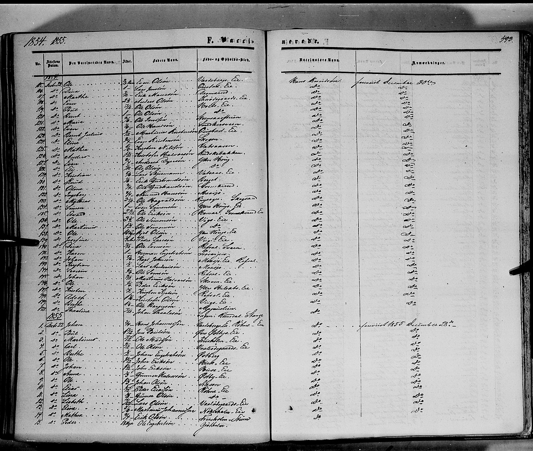 Stange prestekontor, AV/SAH-PREST-002/K/L0012: Ministerialbok nr. 12, 1852-1862, s. 493