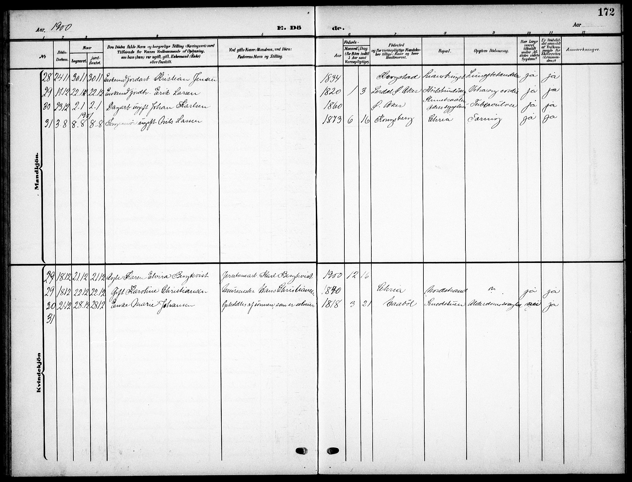 Nordstrand prestekontor Kirkebøker, AV/SAO-A-10362a/F/Fa/L0000: Ministerialbok nr.  0, 1881-1900, s. 172