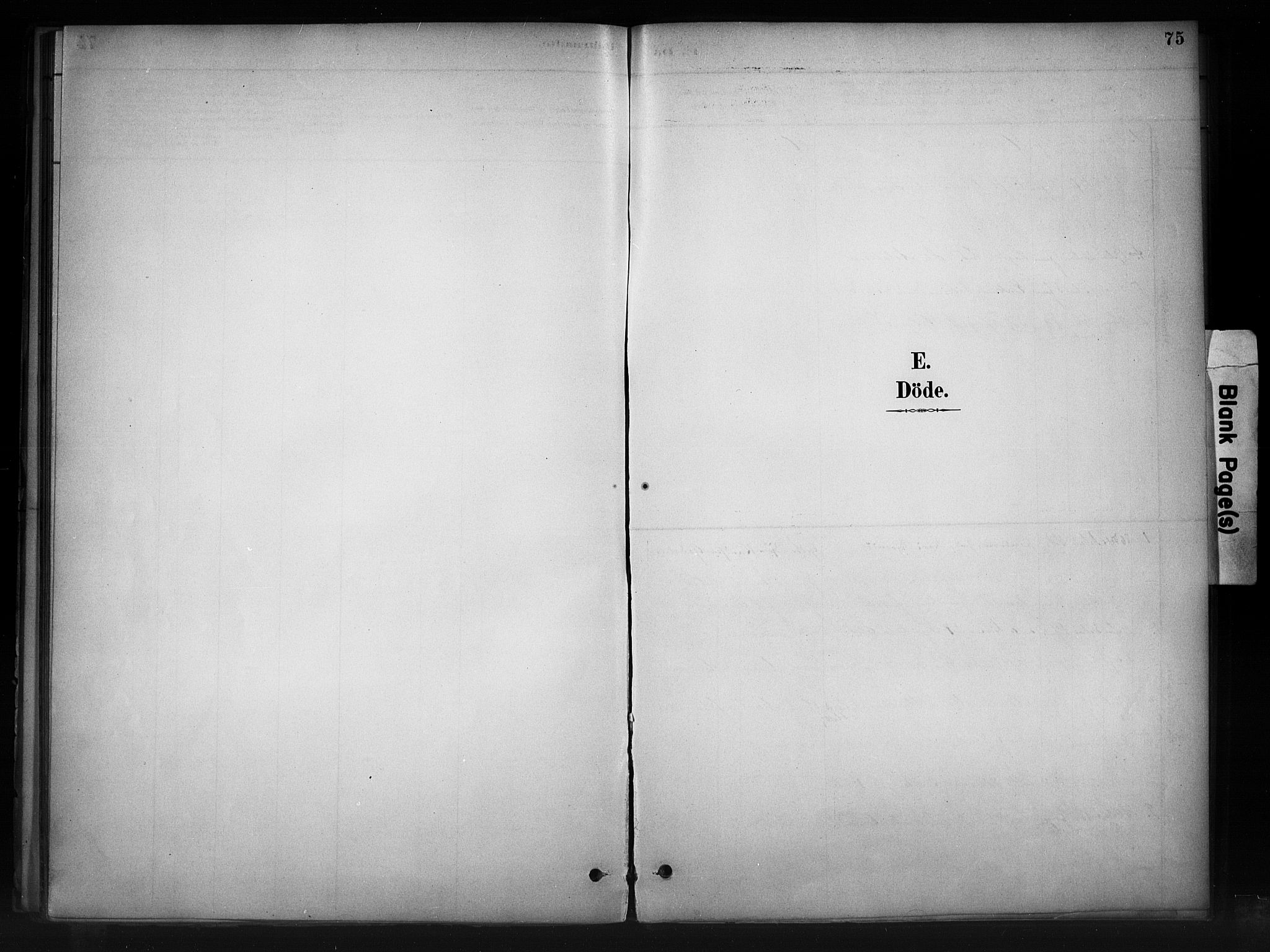 Nord-Aurdal prestekontor, AV/SAH-PREST-132/H/Ha/Haa/L0011: Ministerialbok nr. 11, 1883-1896, s. 75