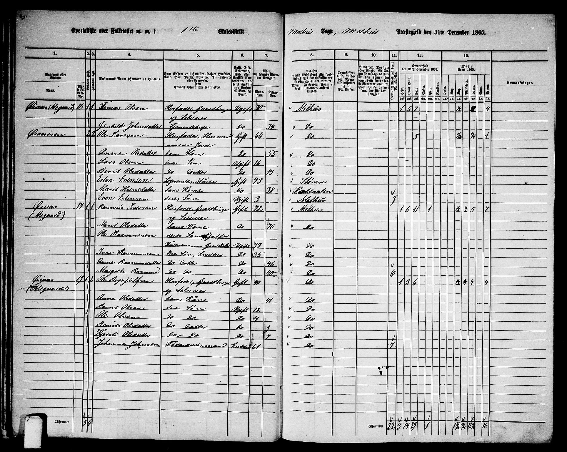 RA, Folketelling 1865 for 1653P Melhus prestegjeld, 1865, s. 28