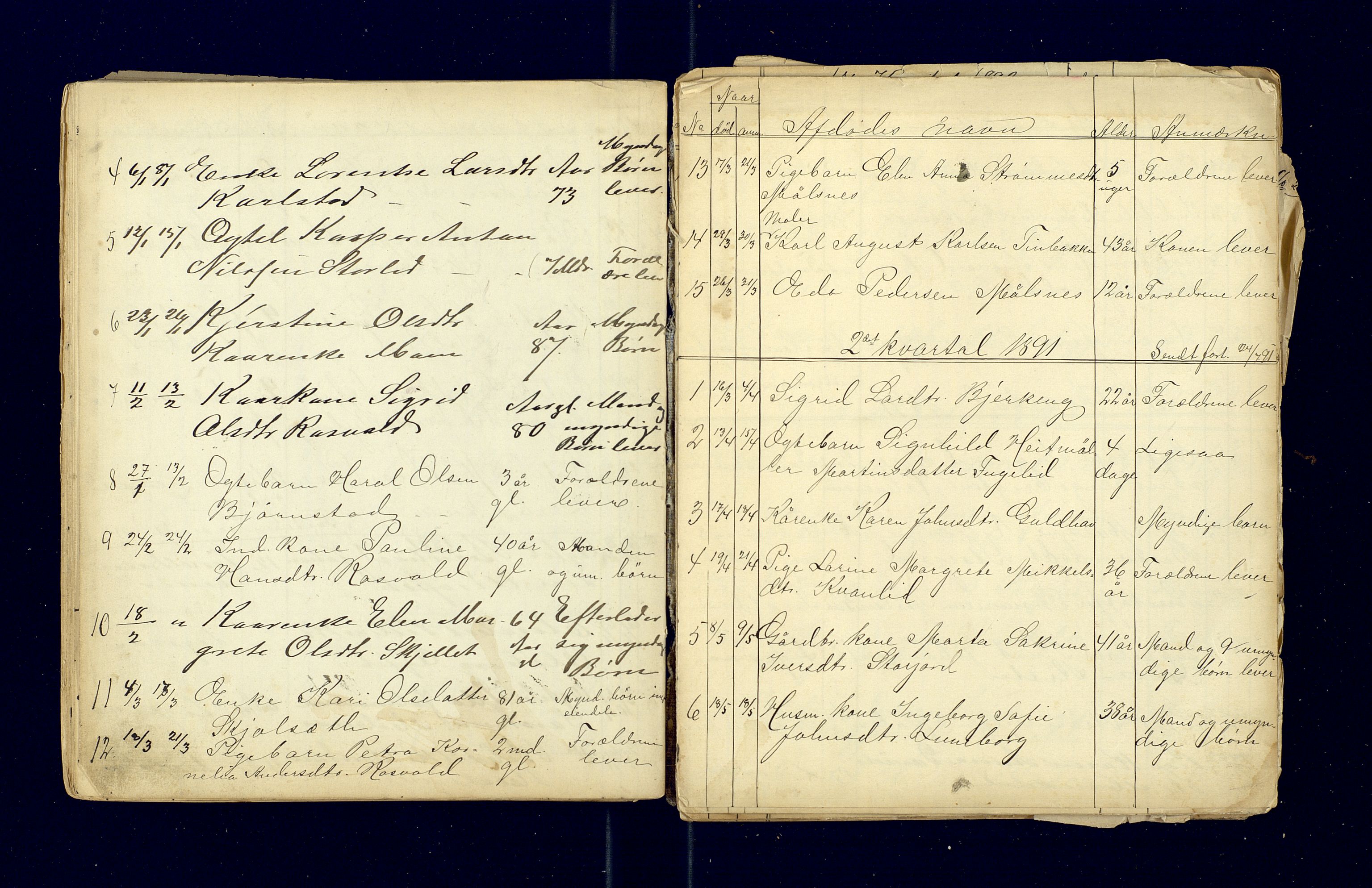 Målselv lensmannskontor, AV/SATØ-SATØ-68/F/Fi/Fia/L0167/0001: Dødsfallsprotokoller og dødsfallsmeldinger. / Dødsfallsprotokoller 1863-1972, 1863-1893