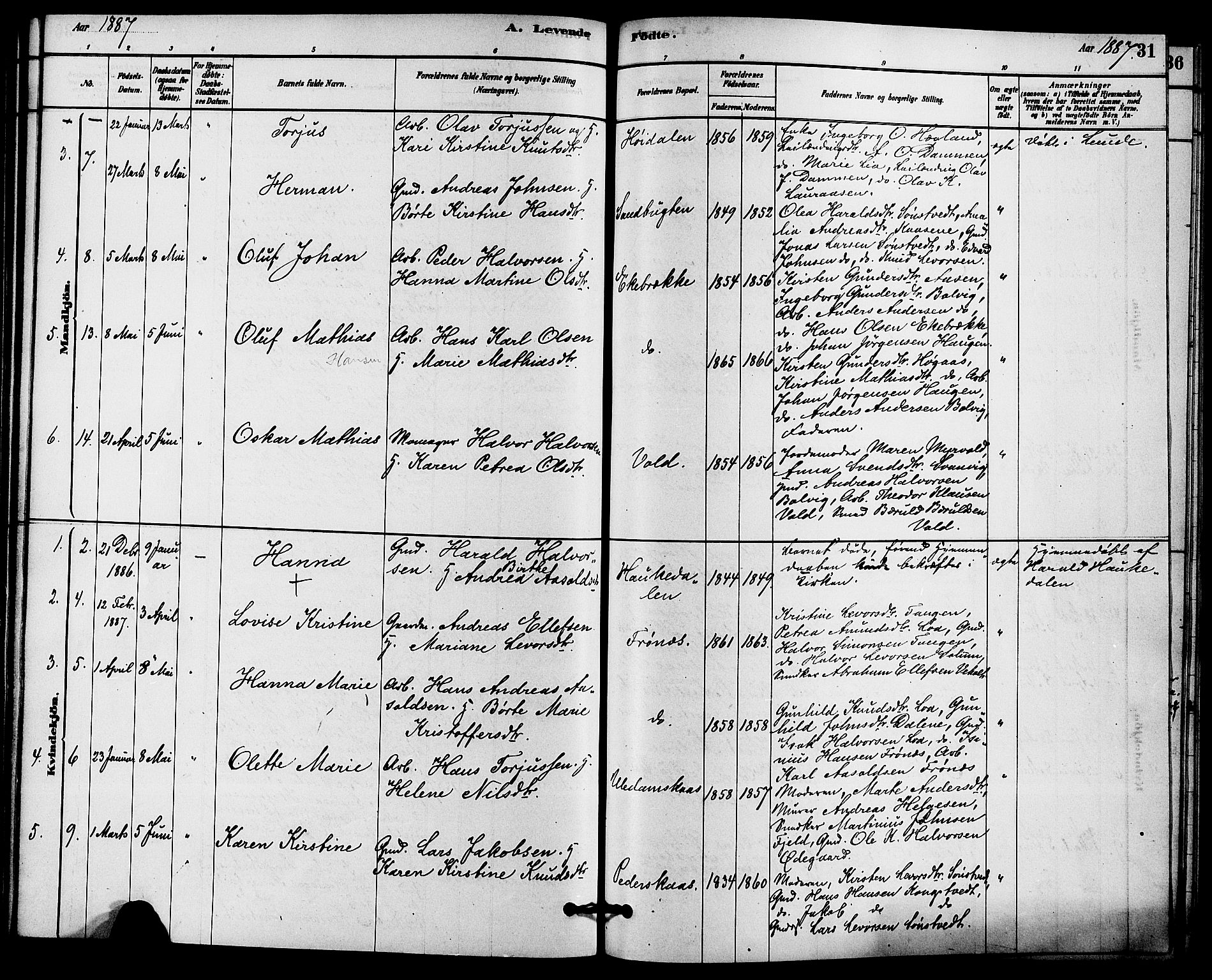 Solum kirkebøker, AV/SAKO-A-306/F/Fc/L0001: Ministerialbok nr. III 1, 1877-1891, s. 31