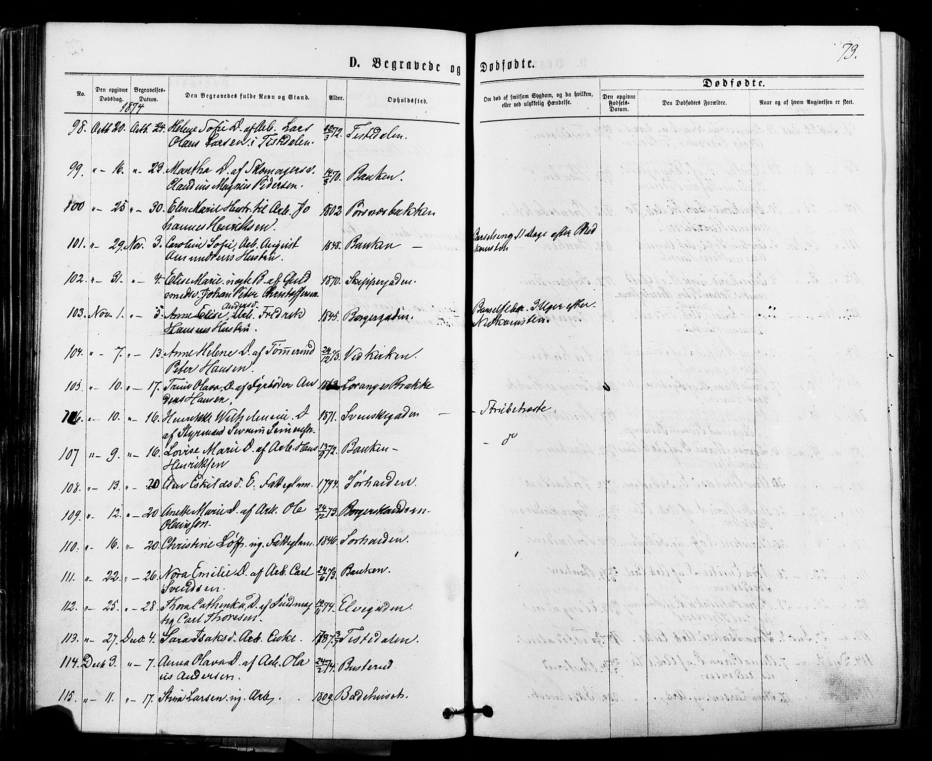 Halden prestekontor Kirkebøker, SAO/A-10909/F/Fa/L0010: Ministerialbok nr. I 10, 1866-1877, s. 73