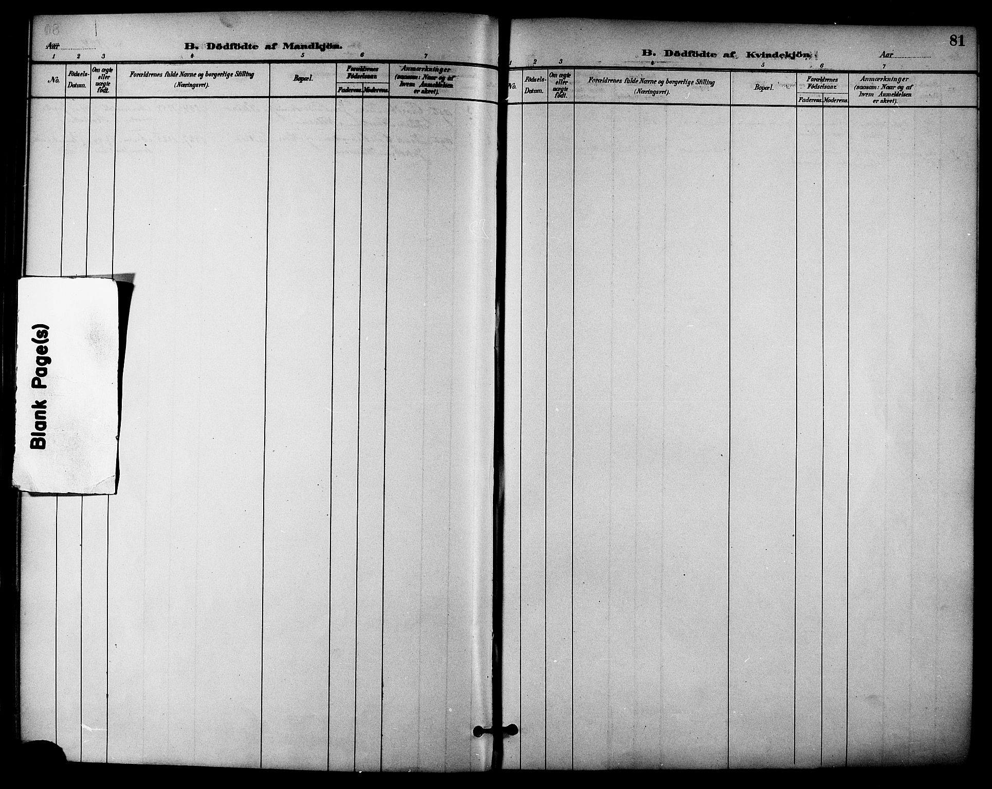 Ministerialprotokoller, klokkerbøker og fødselsregistre - Nordland, AV/SAT-A-1459/895/L1371: Ministerialbok nr. 895A06, 1885-1894, s. 81