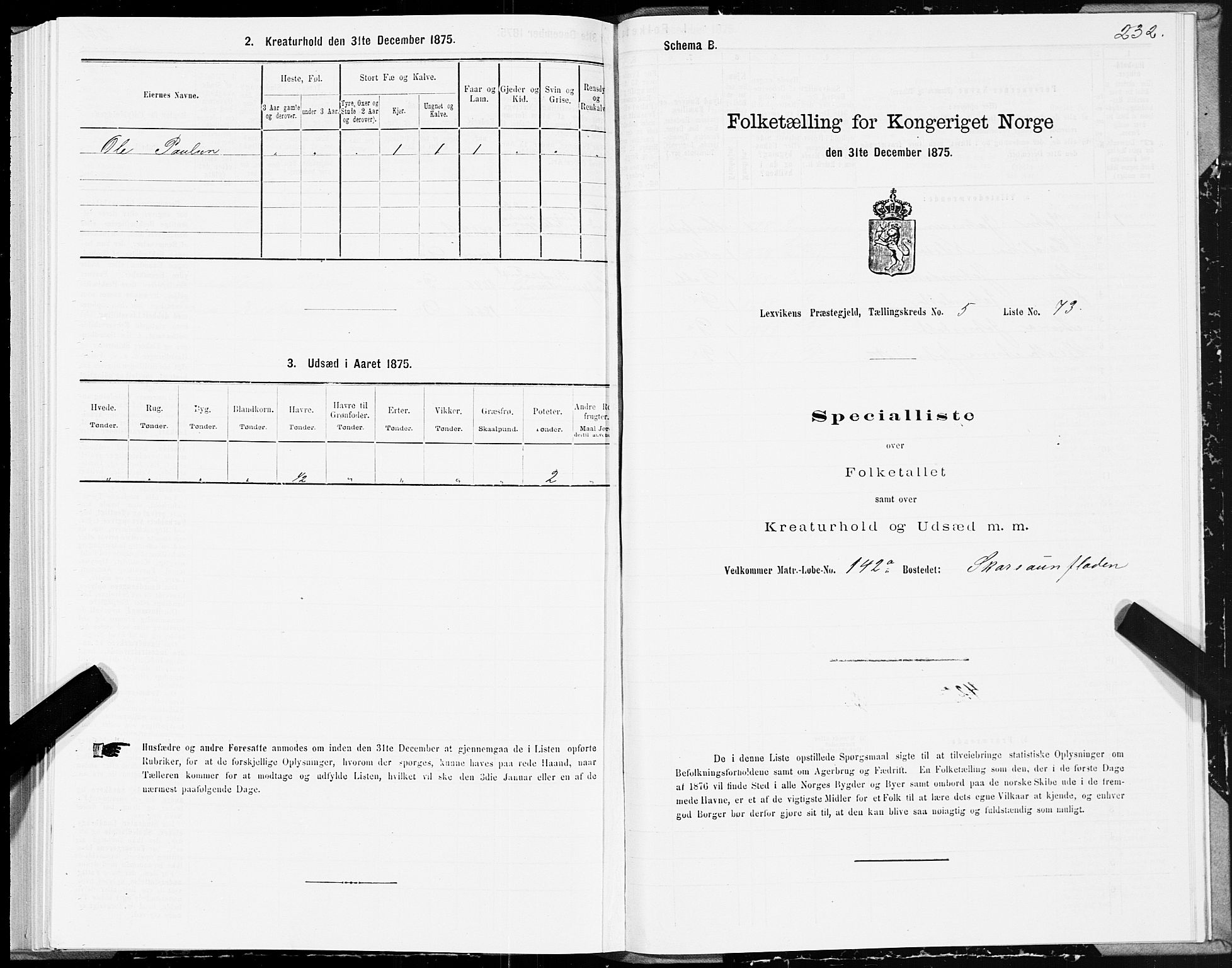 SAT, Folketelling 1875 for 1718P Leksvik prestegjeld, 1875, s. 3232
