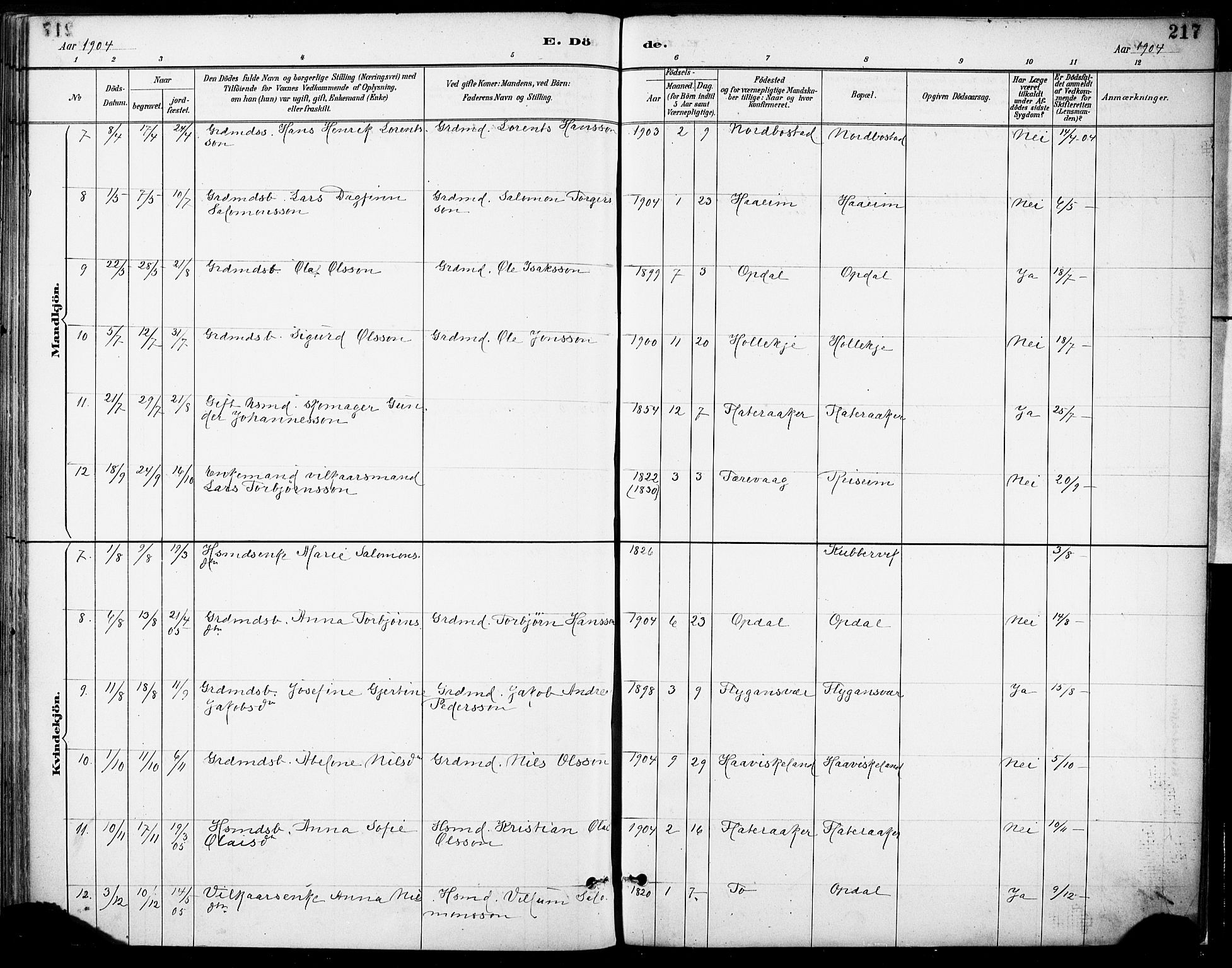 Tysnes sokneprestembete, AV/SAB-A-78601/H/Haa: Ministerialbok nr. D 1, 1887-1904, s. 217