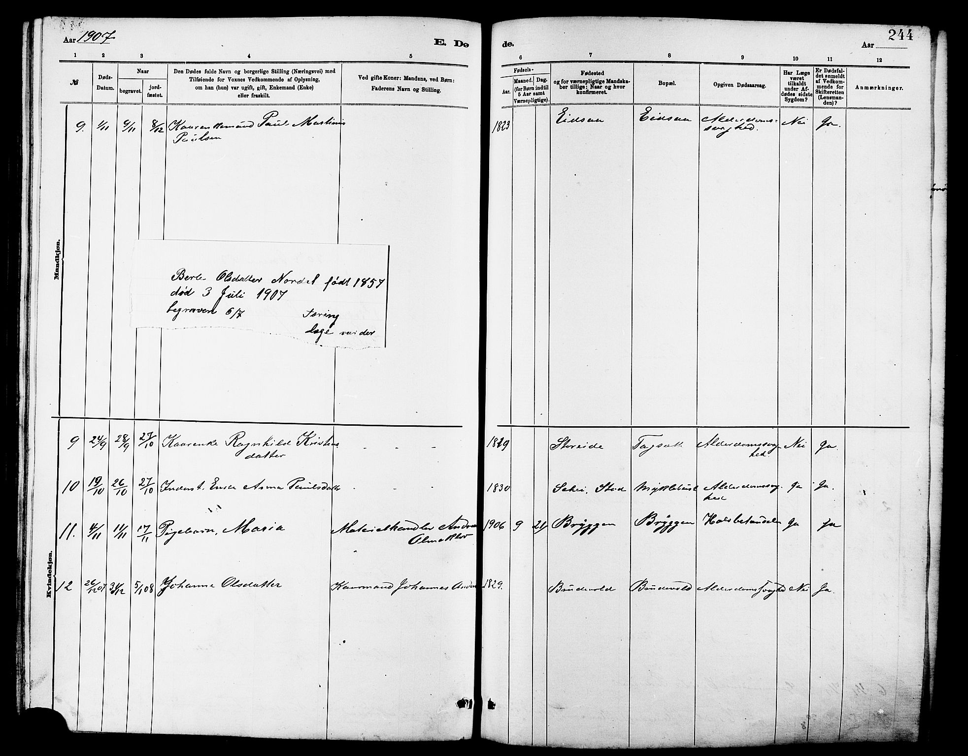 Ministerialprotokoller, klokkerbøker og fødselsregistre - Møre og Romsdal, SAT/A-1454/502/L0027: Klokkerbok nr. 502C01, 1878-1908, s. 244