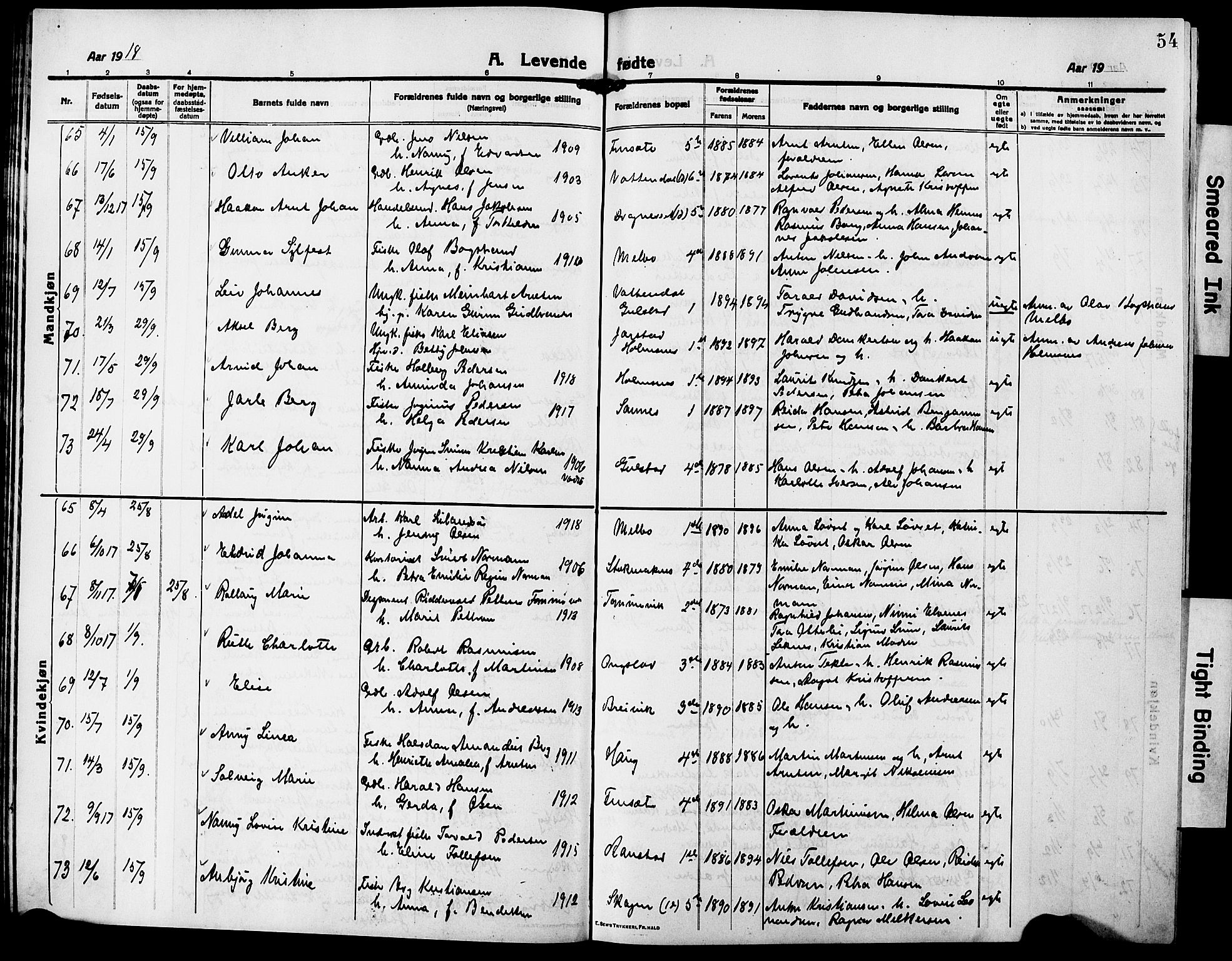 Ministerialprotokoller, klokkerbøker og fødselsregistre - Nordland, AV/SAT-A-1459/888/L1269: Klokkerbok nr. 888C07, 1913-1927, s. 54
