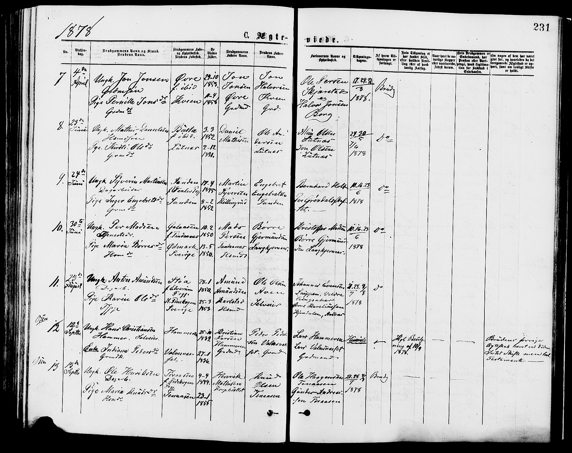 Trysil prestekontor, AV/SAH-PREST-046/H/Ha/Haa/L0007: Ministerialbok nr. 7, 1874-1880, s. 231