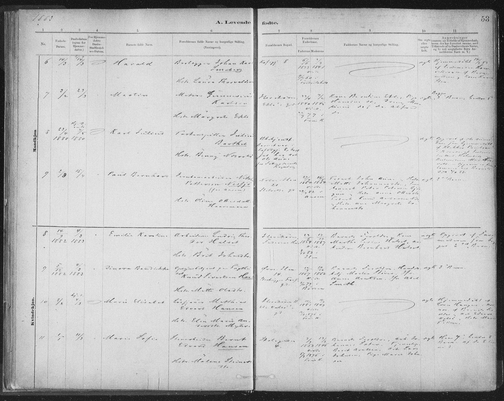 Ministerialprotokoller, klokkerbøker og fødselsregistre - Sør-Trøndelag, AV/SAT-A-1456/603/L0162: Ministerialbok nr. 603A01, 1879-1895, s. 53