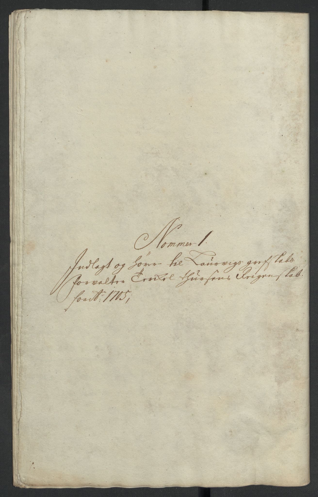 Rentekammeret inntil 1814, Reviderte regnskaper, Fogderegnskap, RA/EA-4092/R33/L1978: Fogderegnskap Larvik grevskap, 1704-1705, s. 277