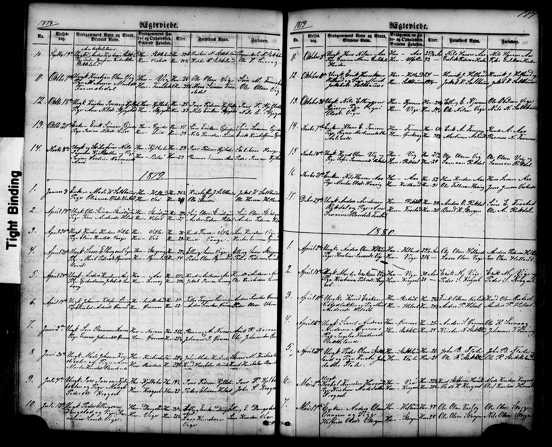 Ministerialprotokoller, klokkerbøker og fødselsregistre - Møre og Romsdal, SAT/A-1454/539/L0536: Klokkerbok nr. 539C02, 1867-1913, s. 197