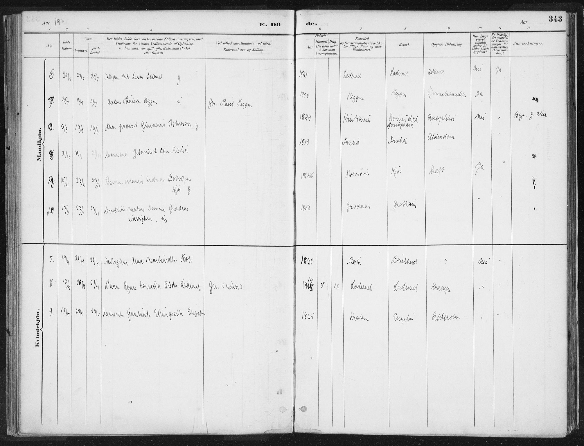 Hornindal sokneprestembete, SAB/A-82401/H/Haa/Haaa/L0003/0002: Ministerialbok nr. A 3B, 1885-1917, s. 343