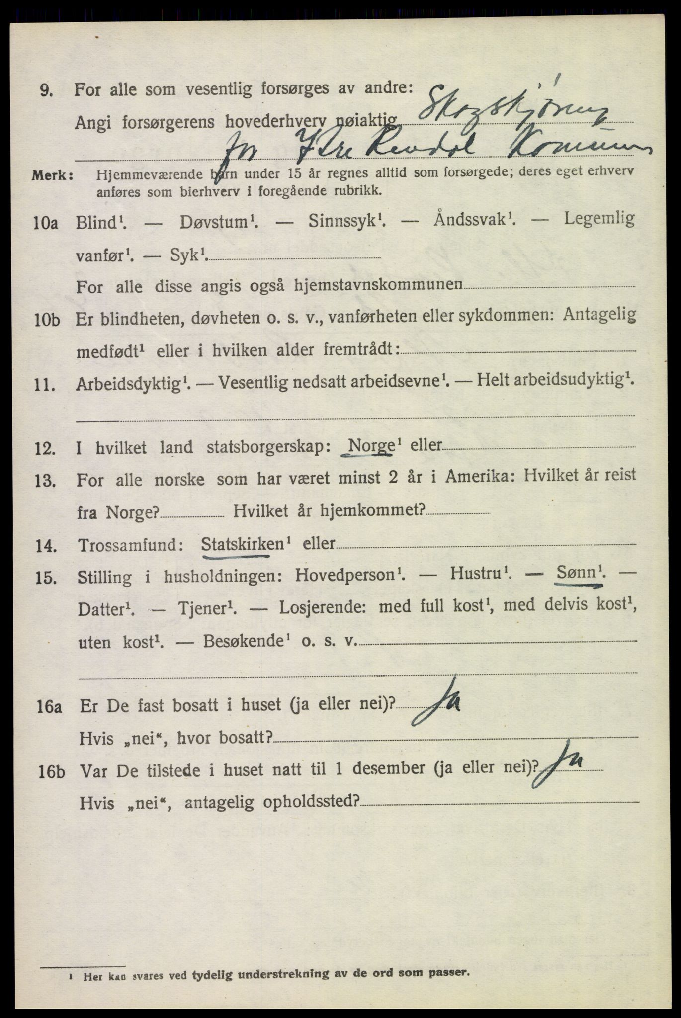 SAH, Folketelling 1920 for 0432 Ytre Rendal herred, 1920, s. 2928