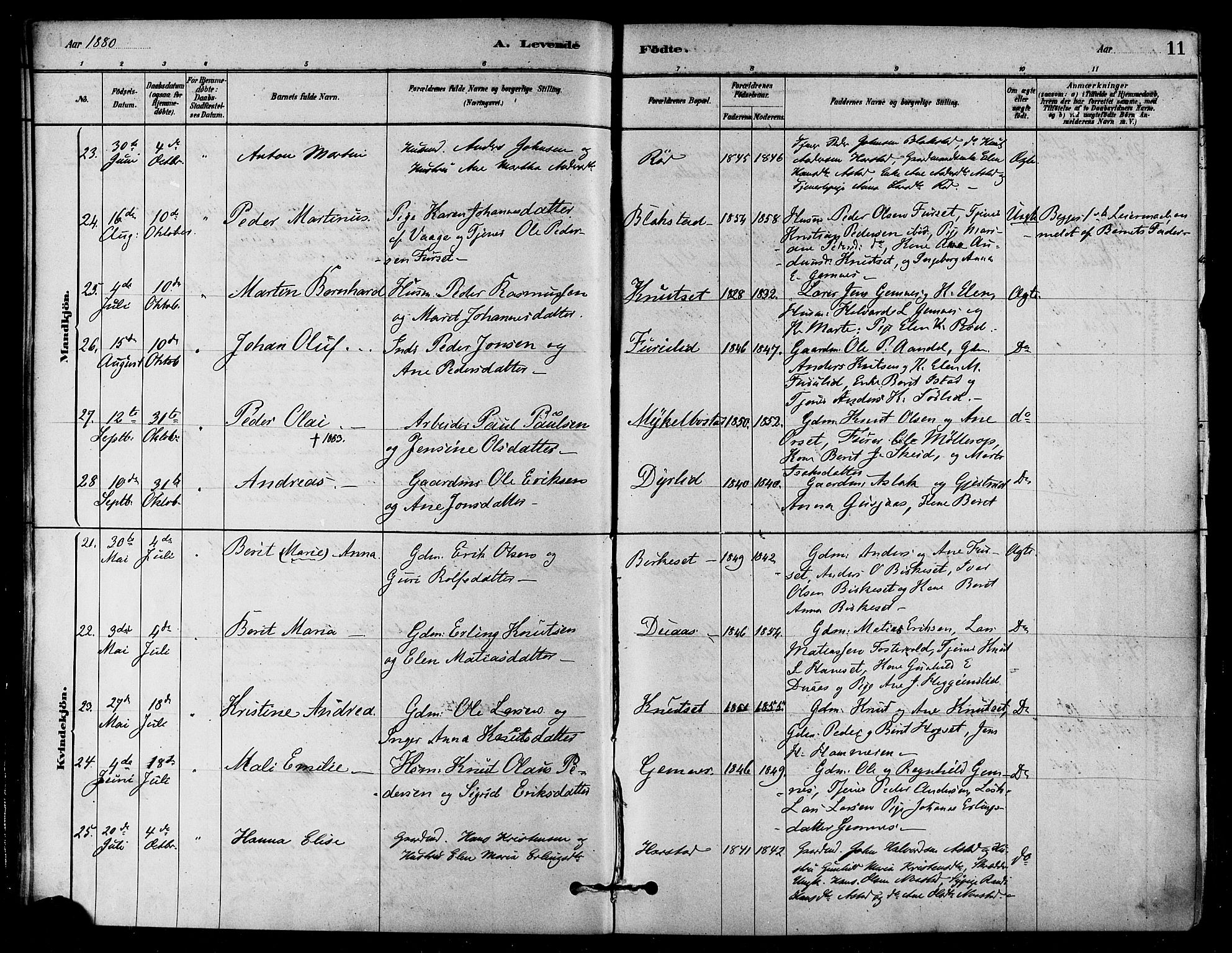 Ministerialprotokoller, klokkerbøker og fødselsregistre - Møre og Romsdal, AV/SAT-A-1454/584/L0967: Ministerialbok nr. 584A07, 1879-1894, s. 11