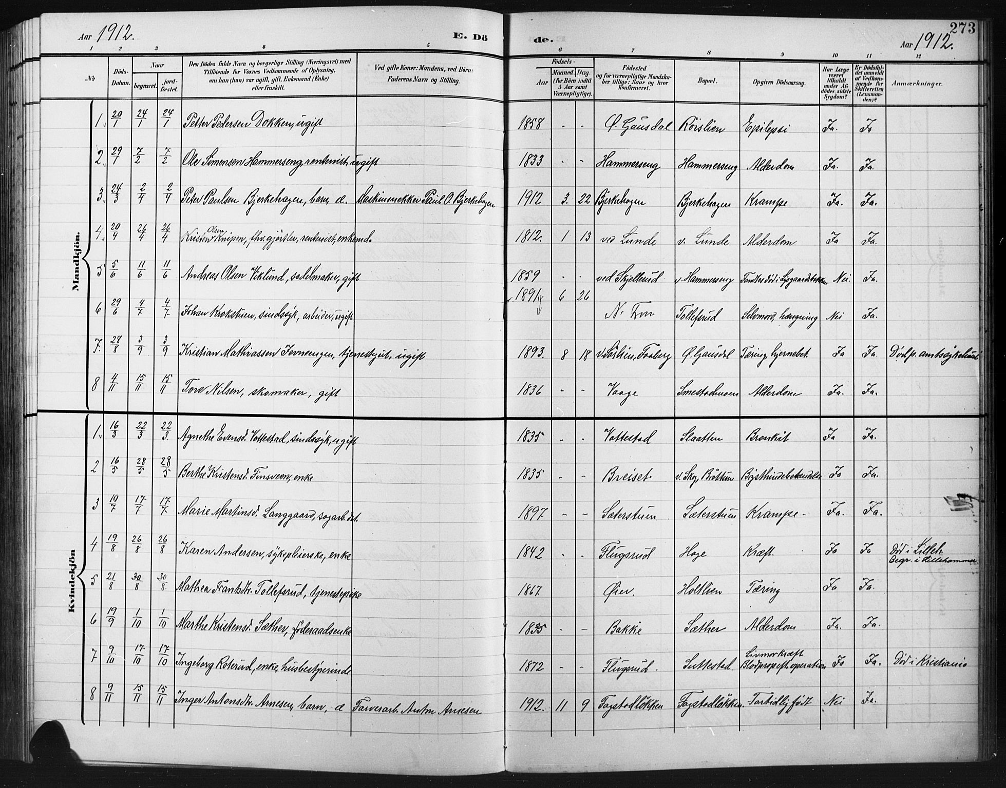 Fåberg prestekontor, AV/SAH-PREST-086/H/Ha/Hab/L0012: Klokkerbok nr. 12, 1903-1924, s. 273
