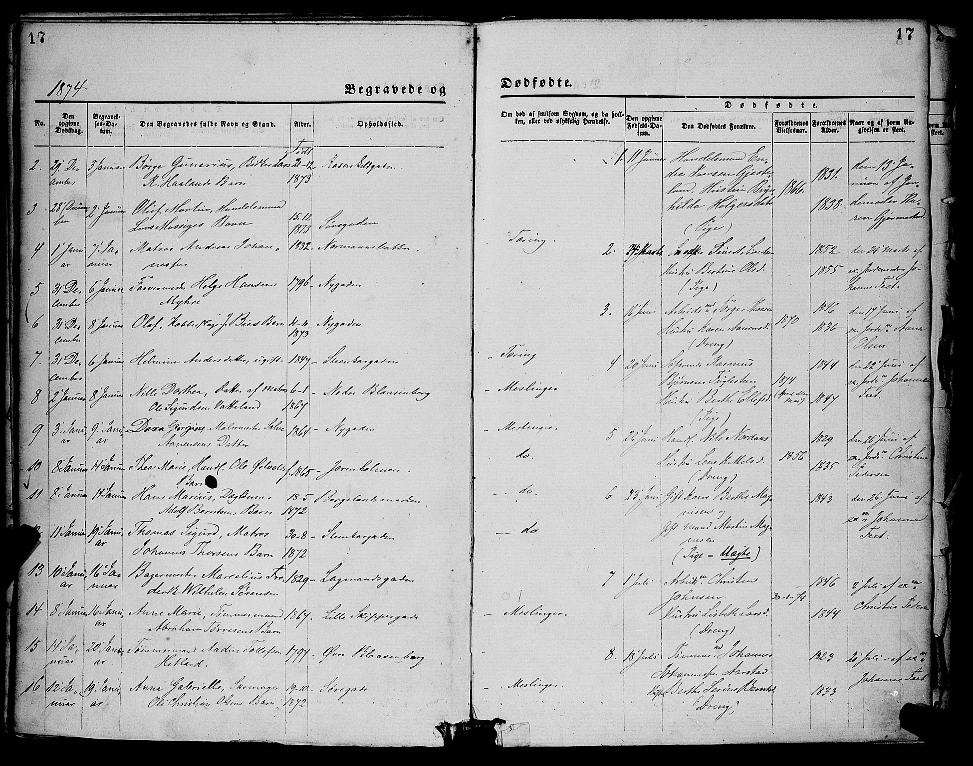 St. Petri sokneprestkontor, AV/SAST-A-101813/001/30/30BA/L0012: Ministerialbok nr. A 12, 1873-1878, s. 17